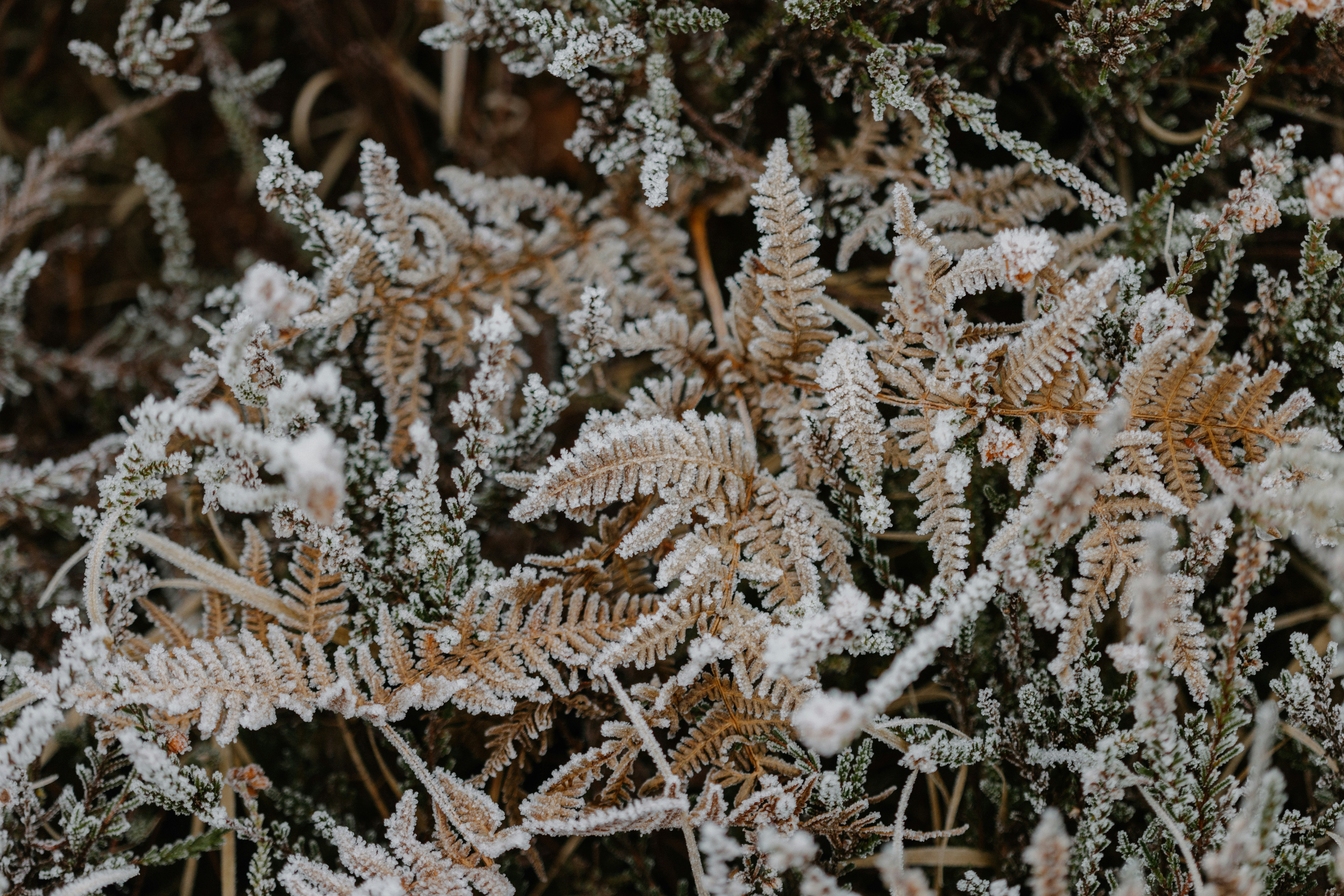 Photo by anniespratt