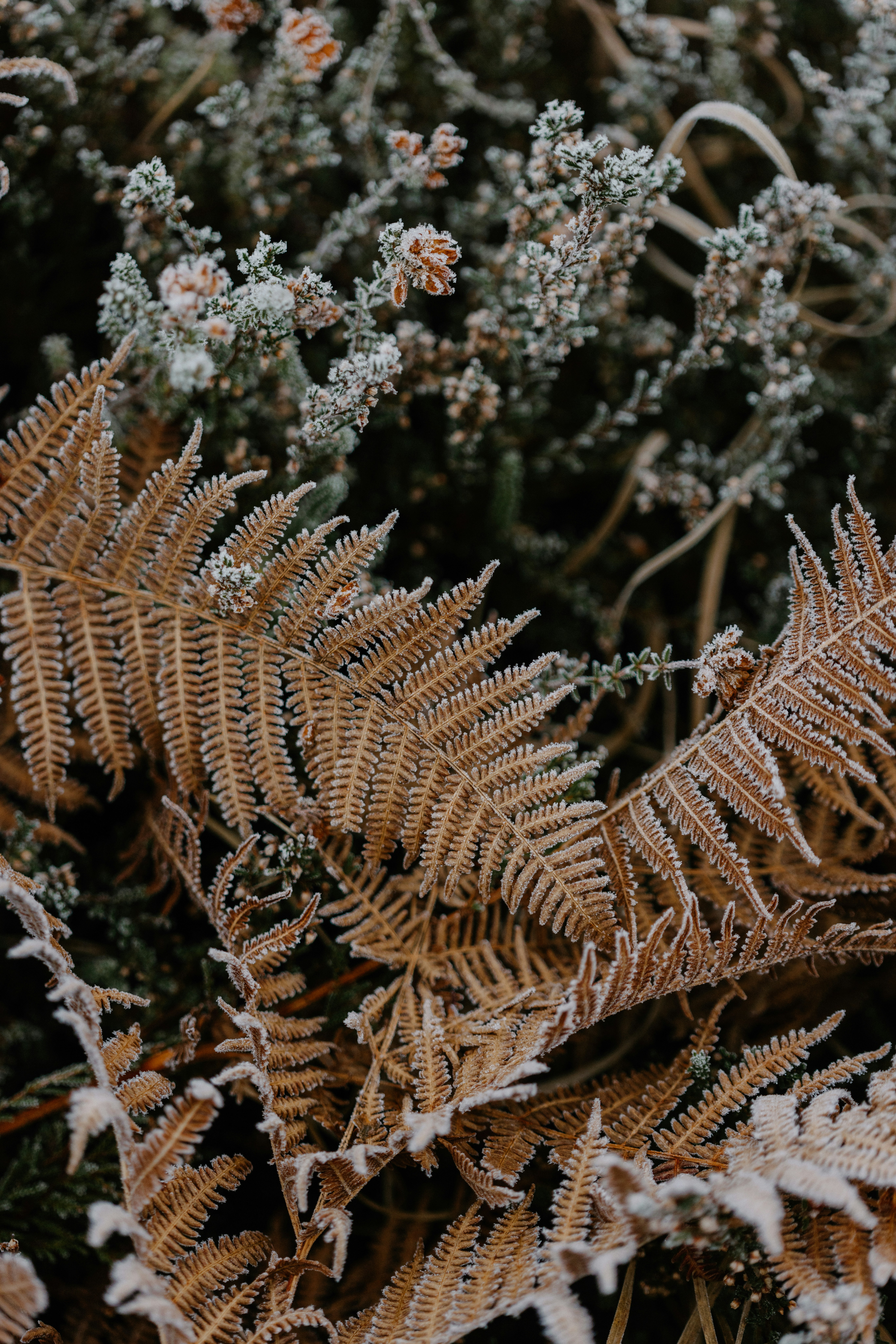 Photo by anniespratt