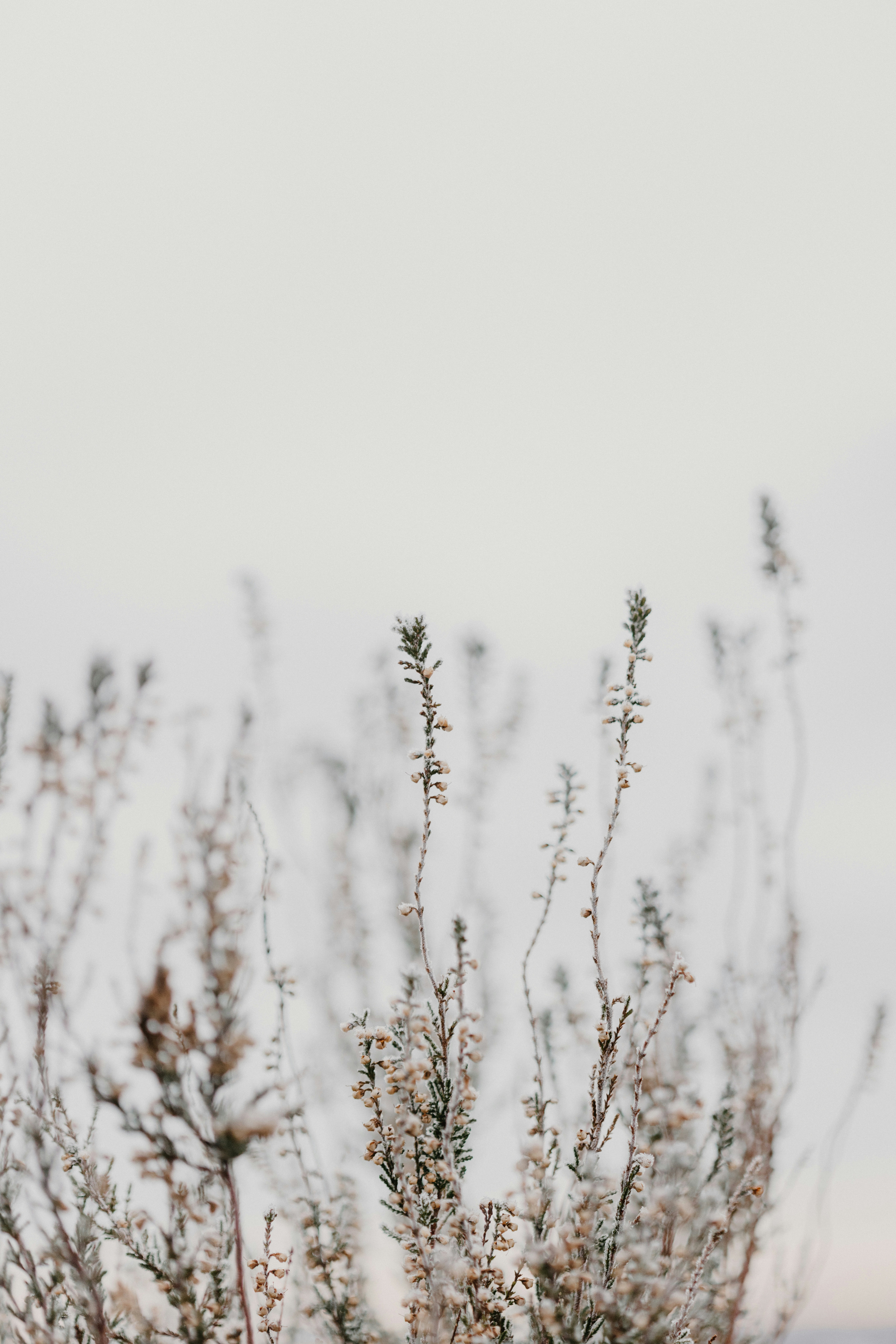 Photo by anniespratt