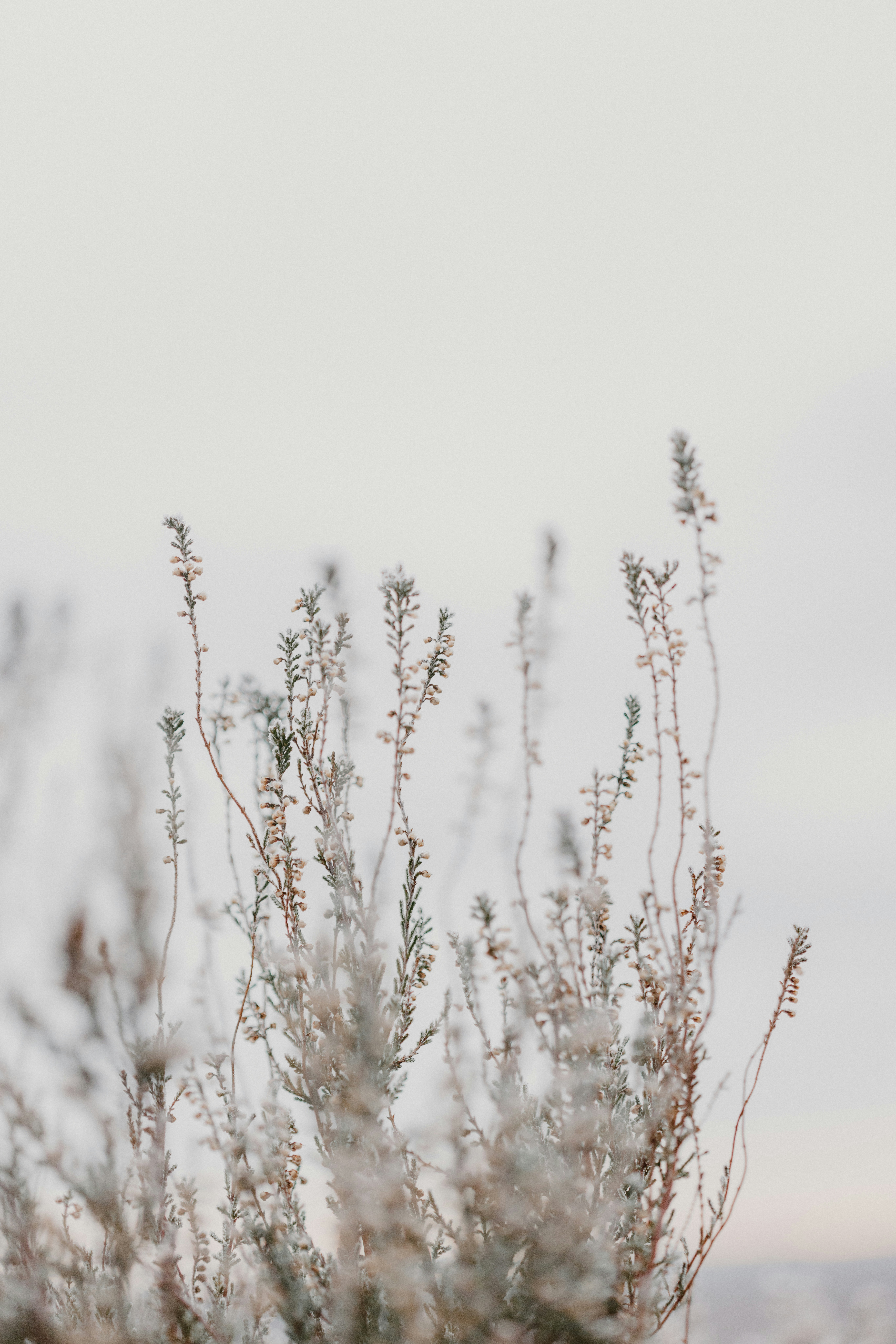 Photo by anniespratt