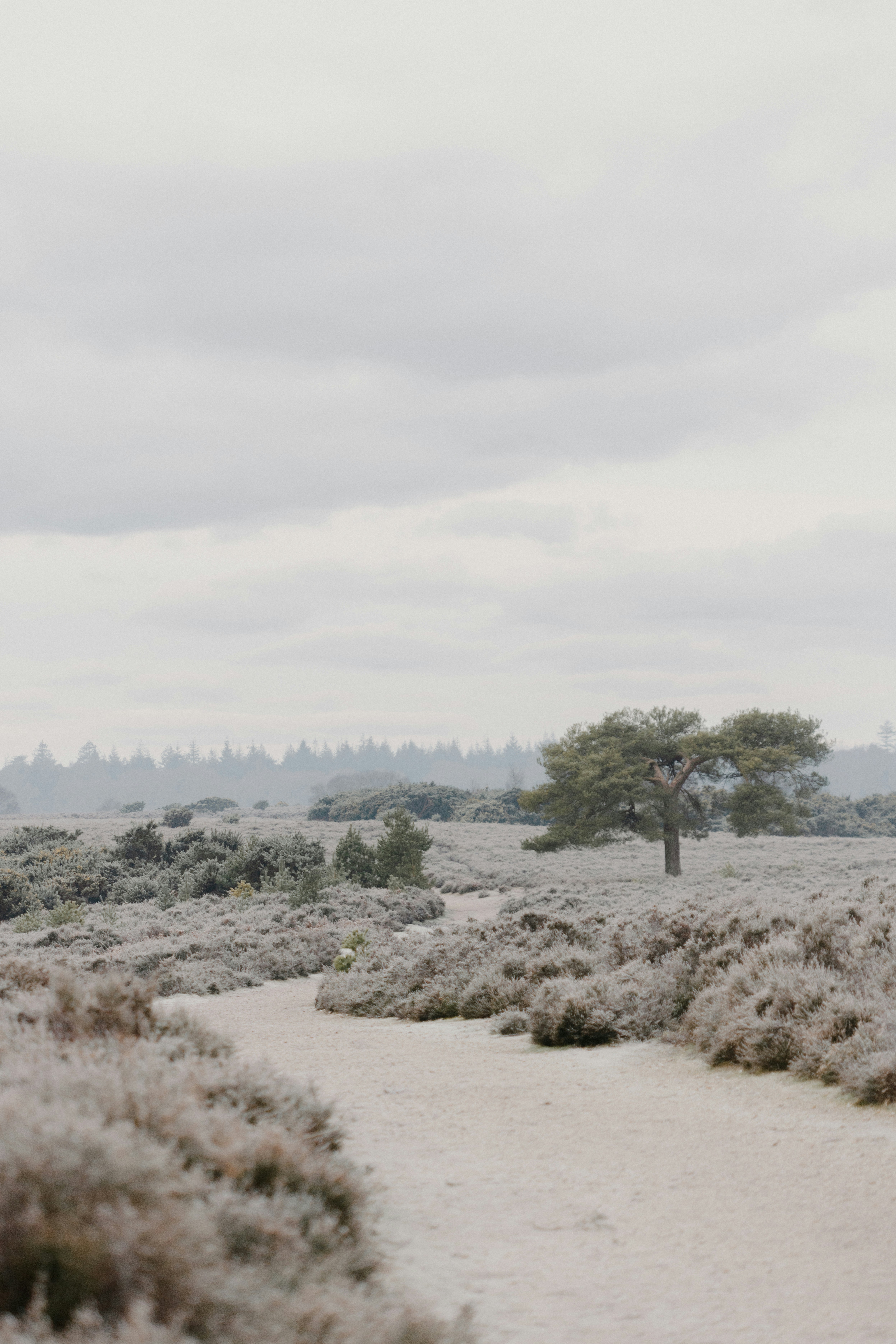 Photo by anniespratt