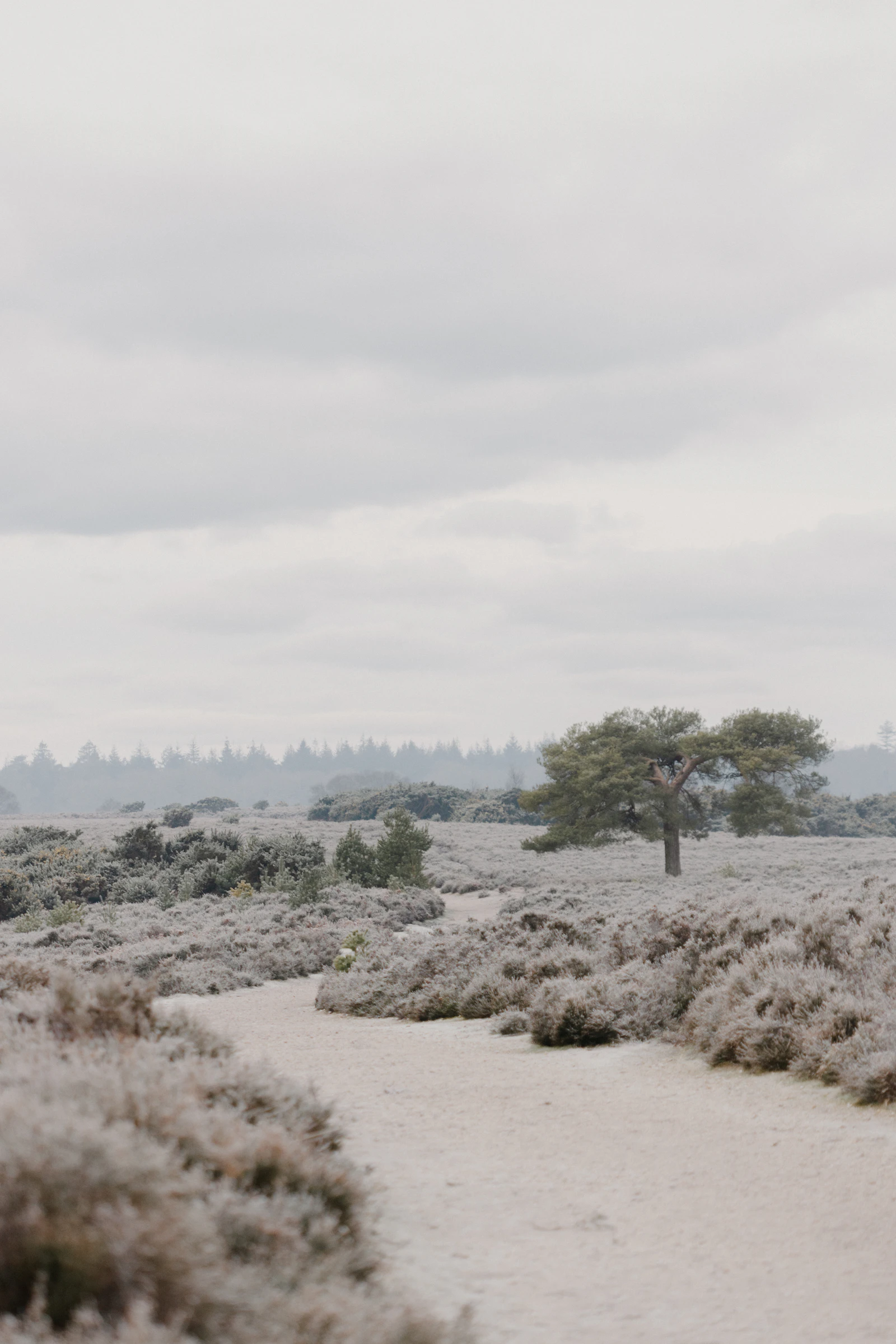 The Places We Leave Behind
