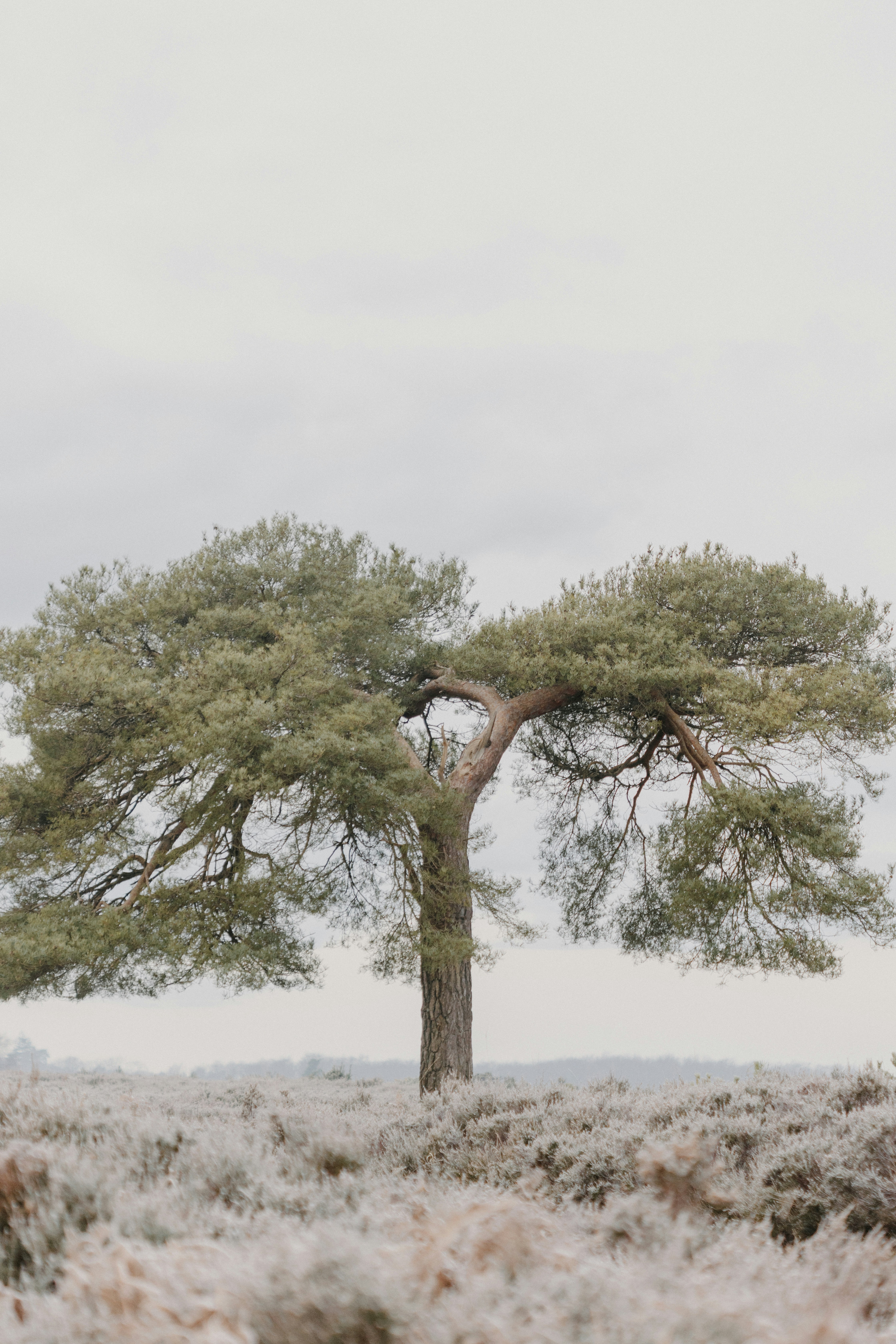 Photo by anniespratt