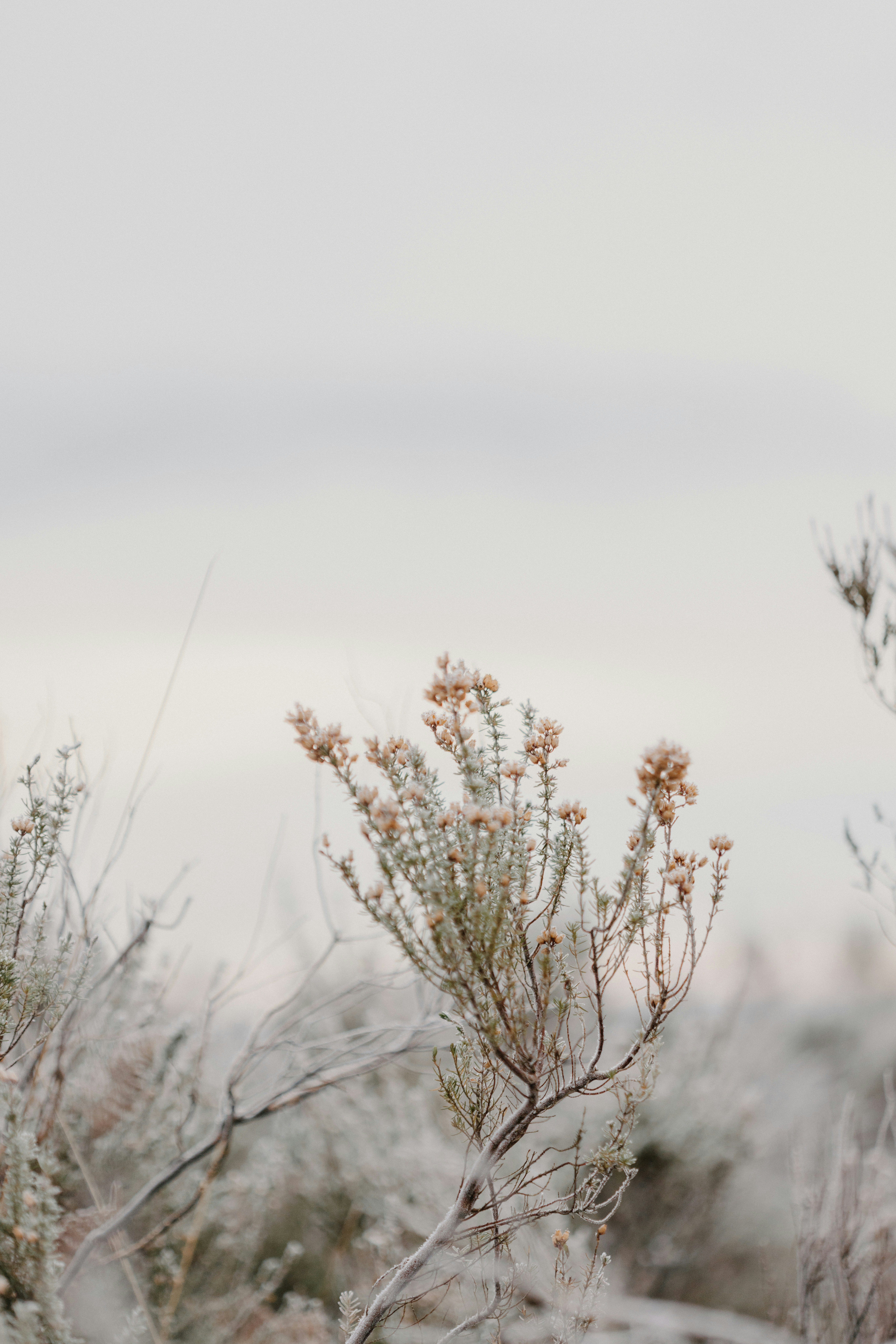 Photo by anniespratt