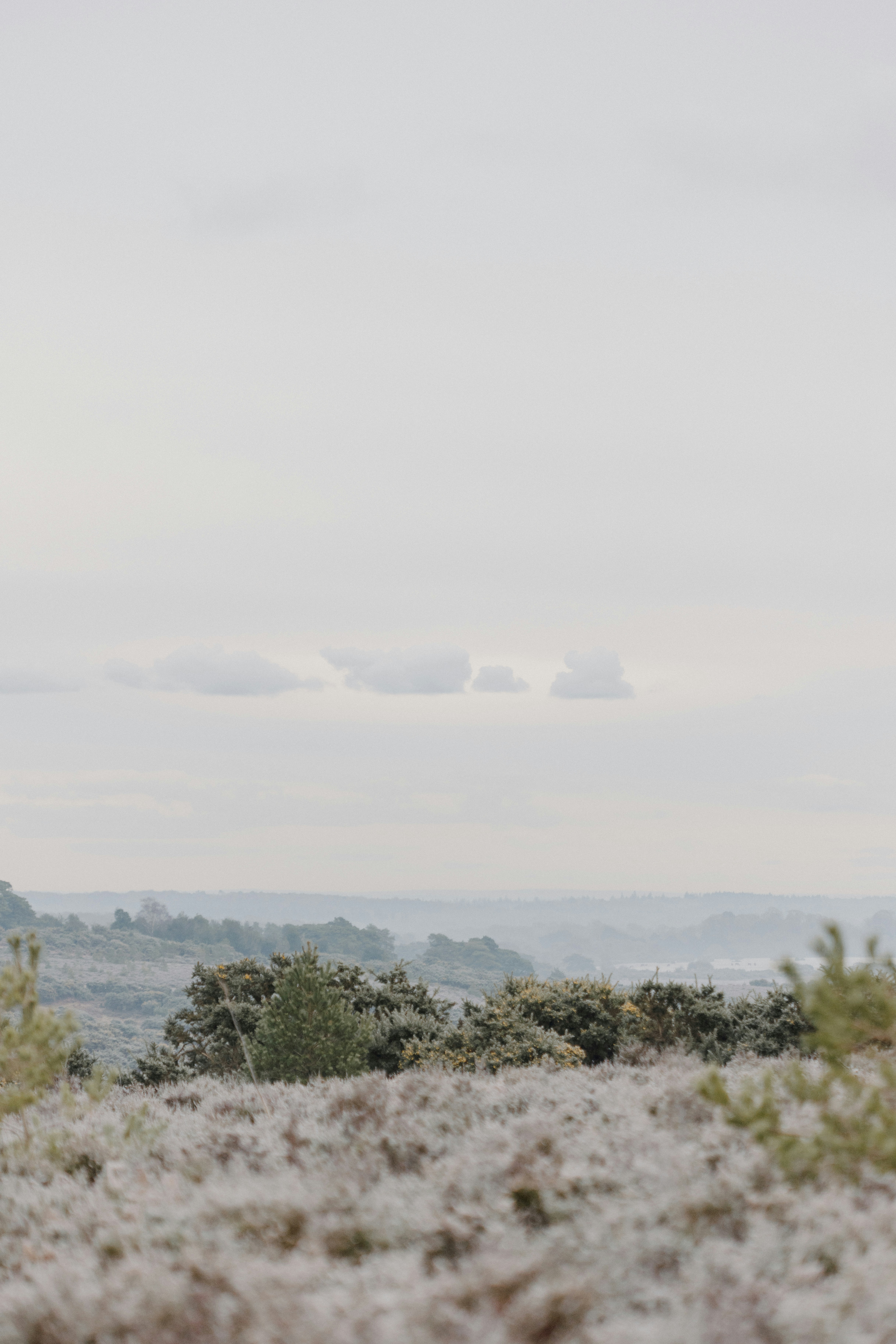 Photo by anniespratt