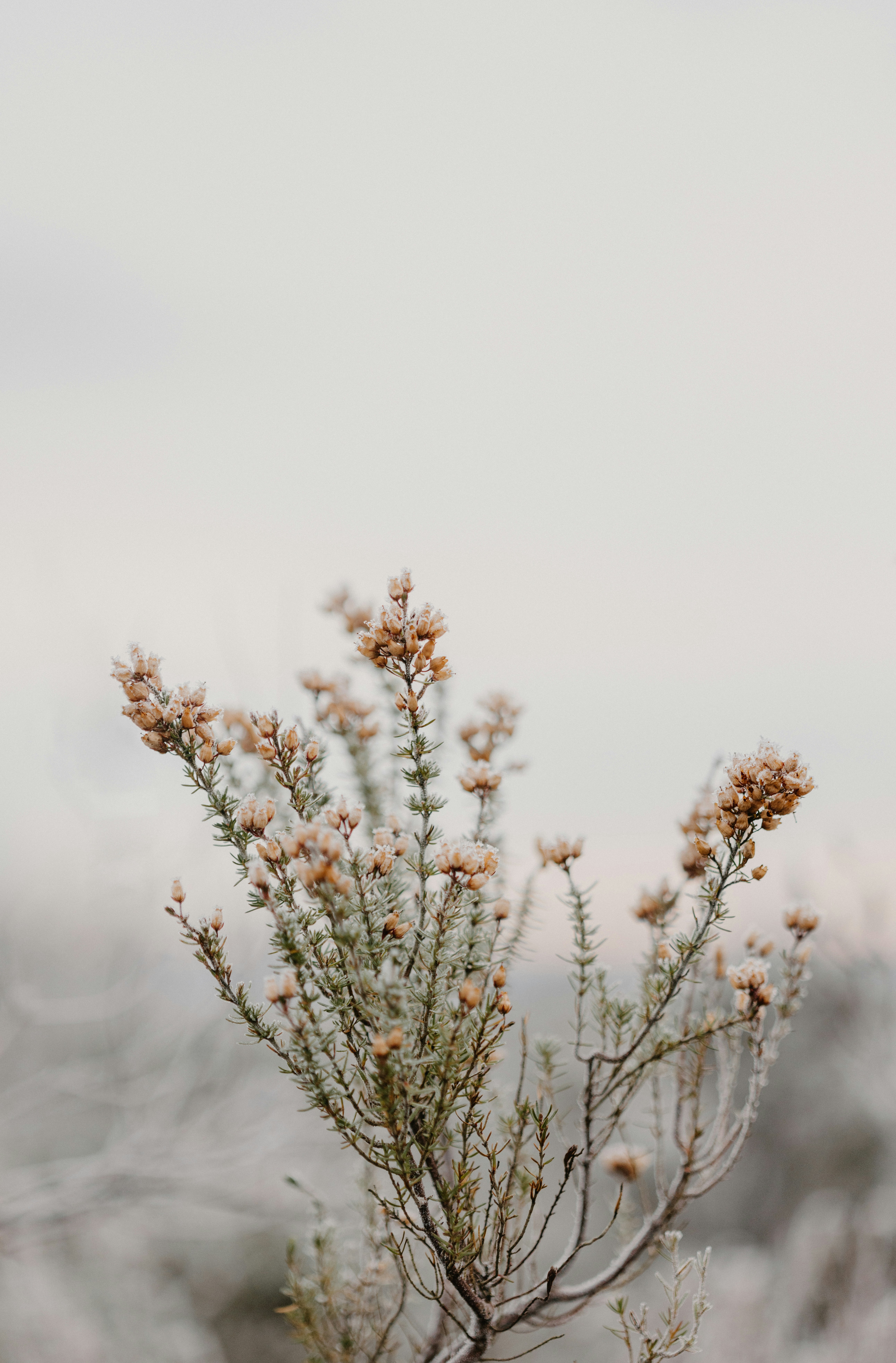 Photo by anniespratt