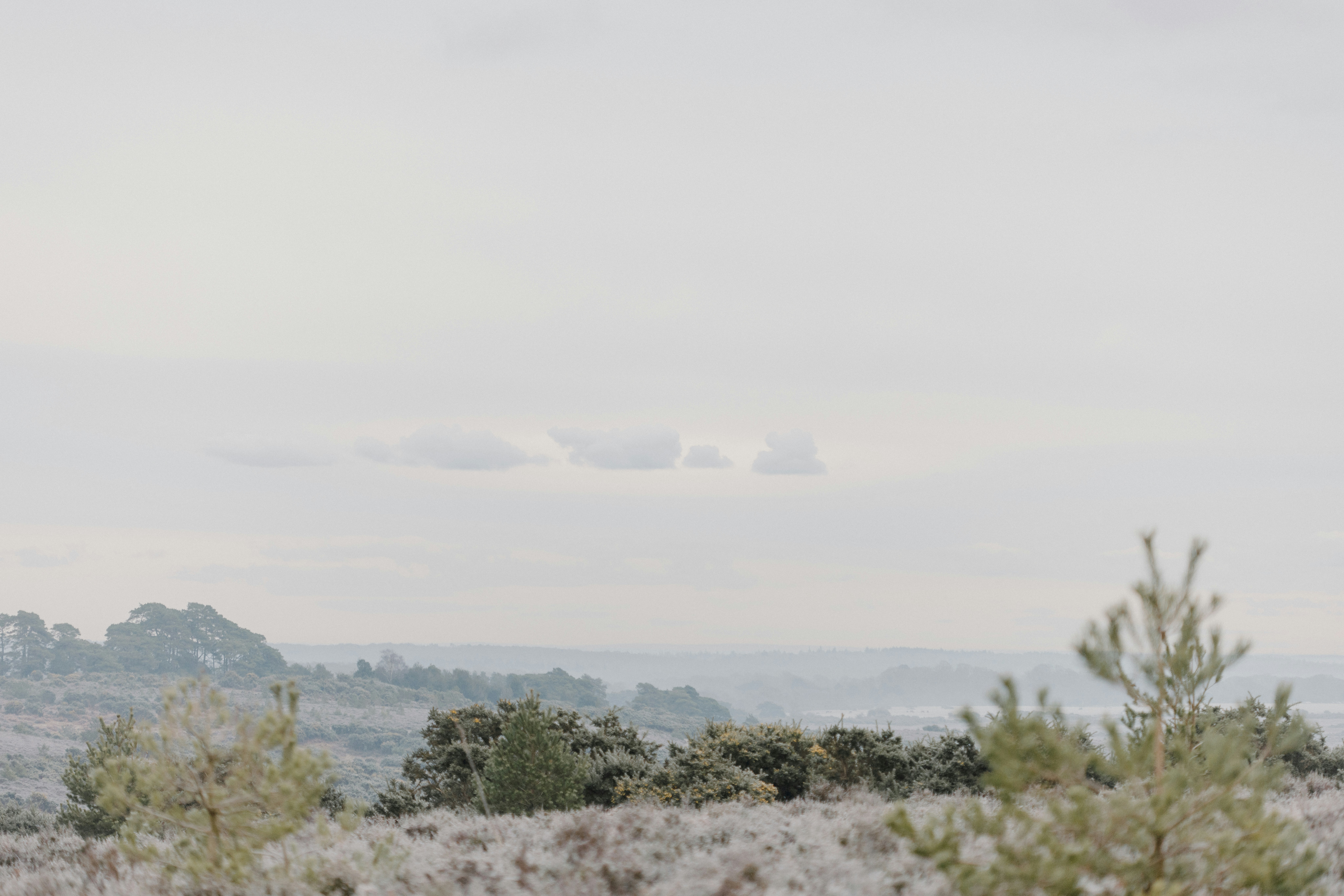 Photo by anniespratt