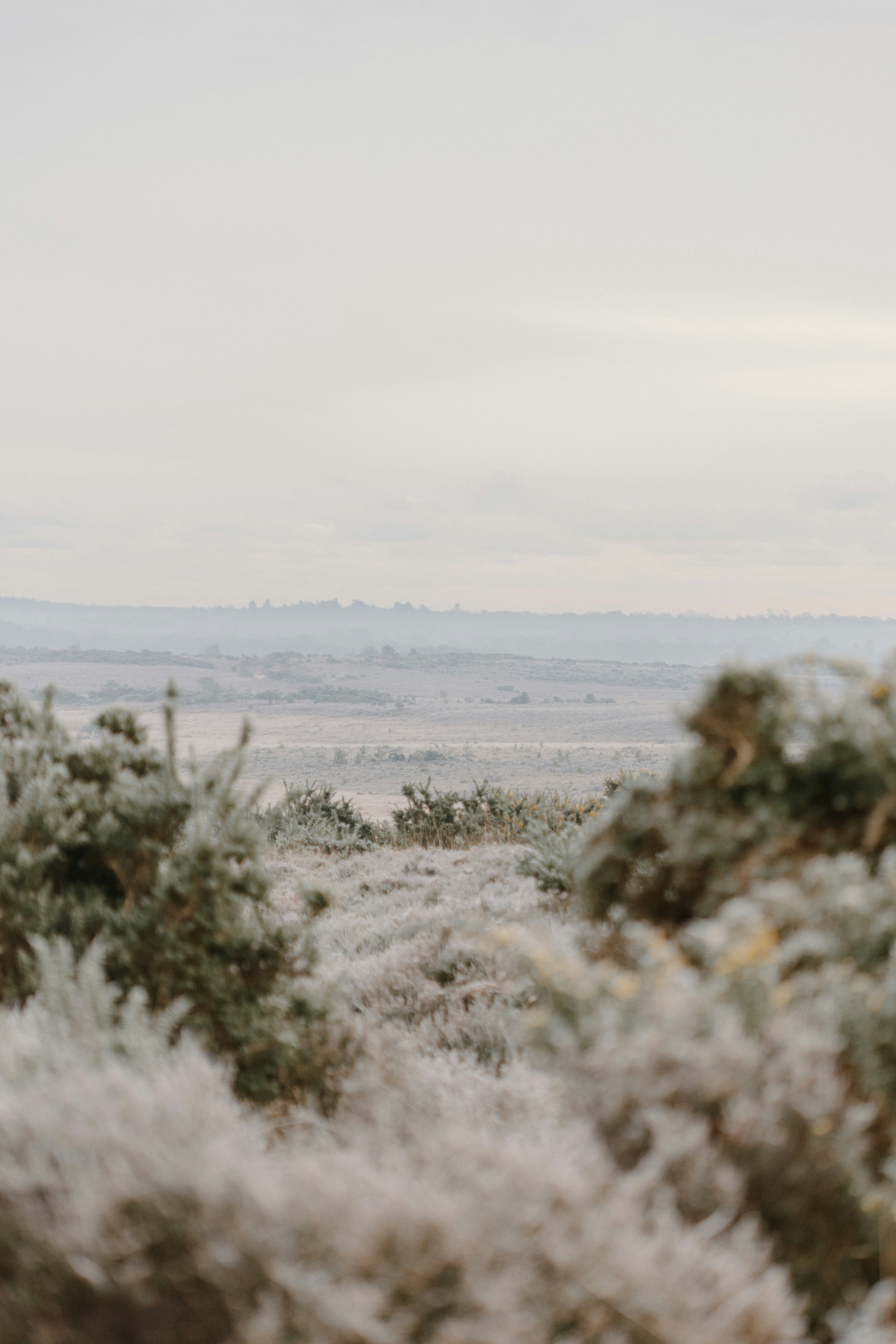 Photo by anniespratt