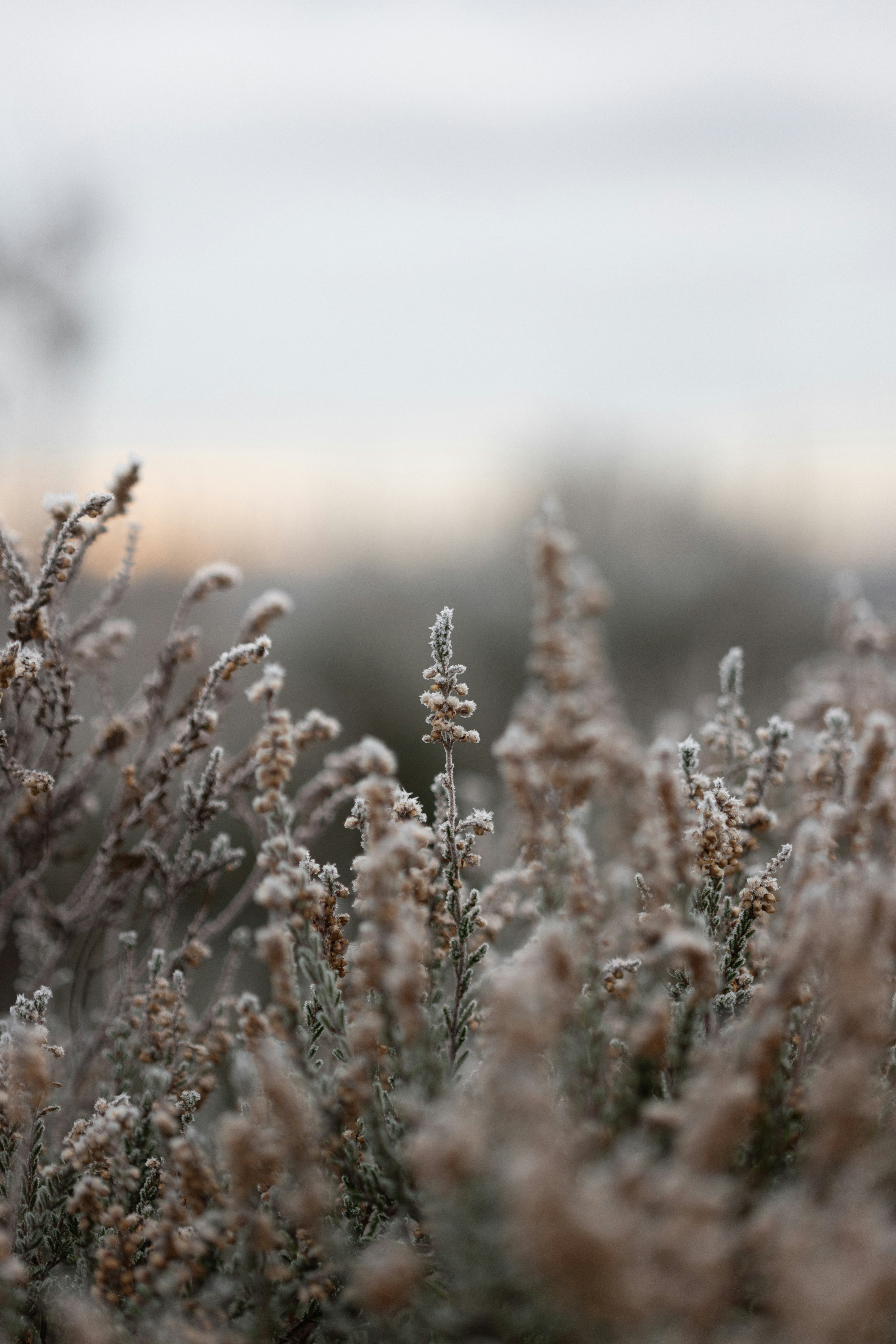 Photo by anniespratt