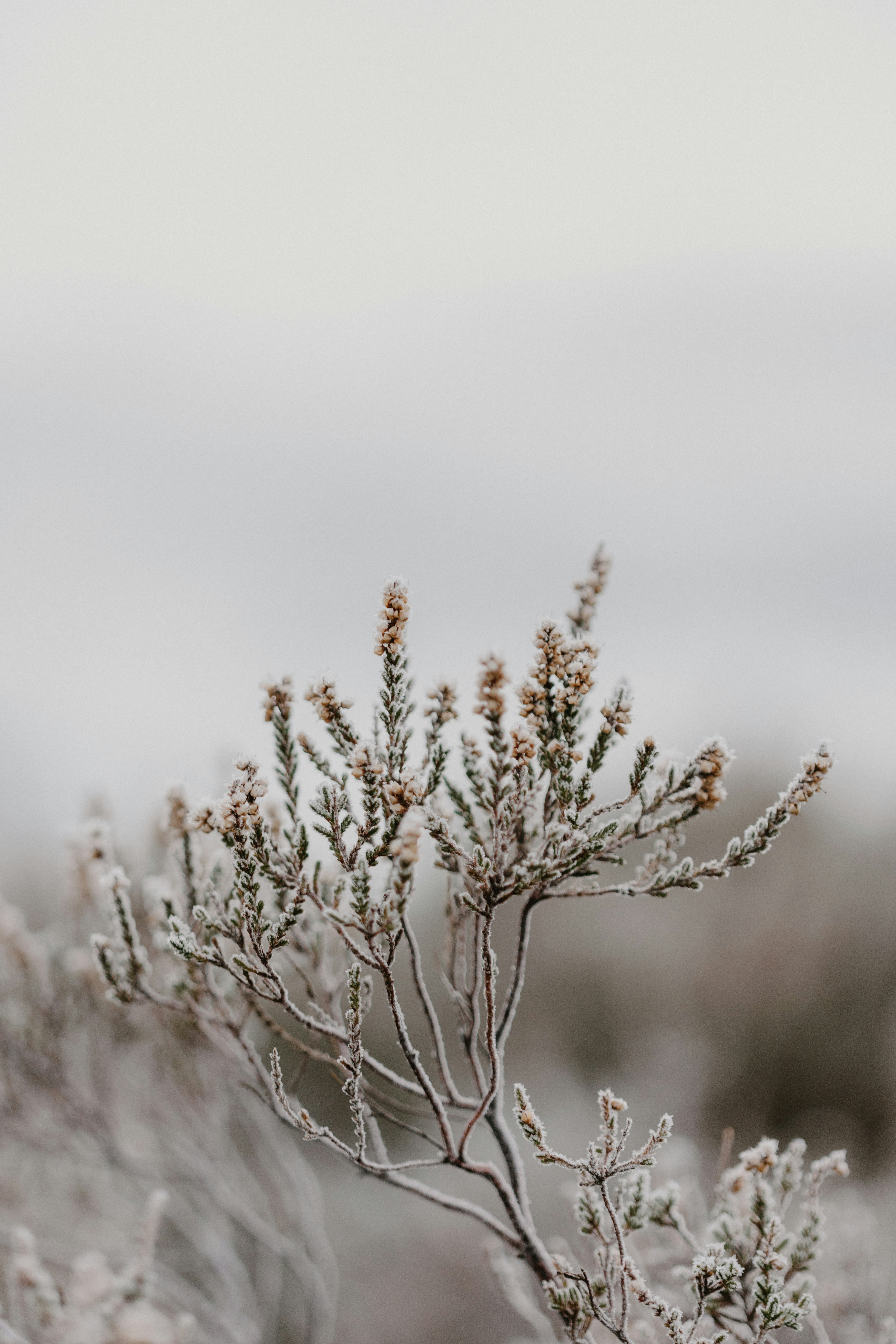 Photo by anniespratt