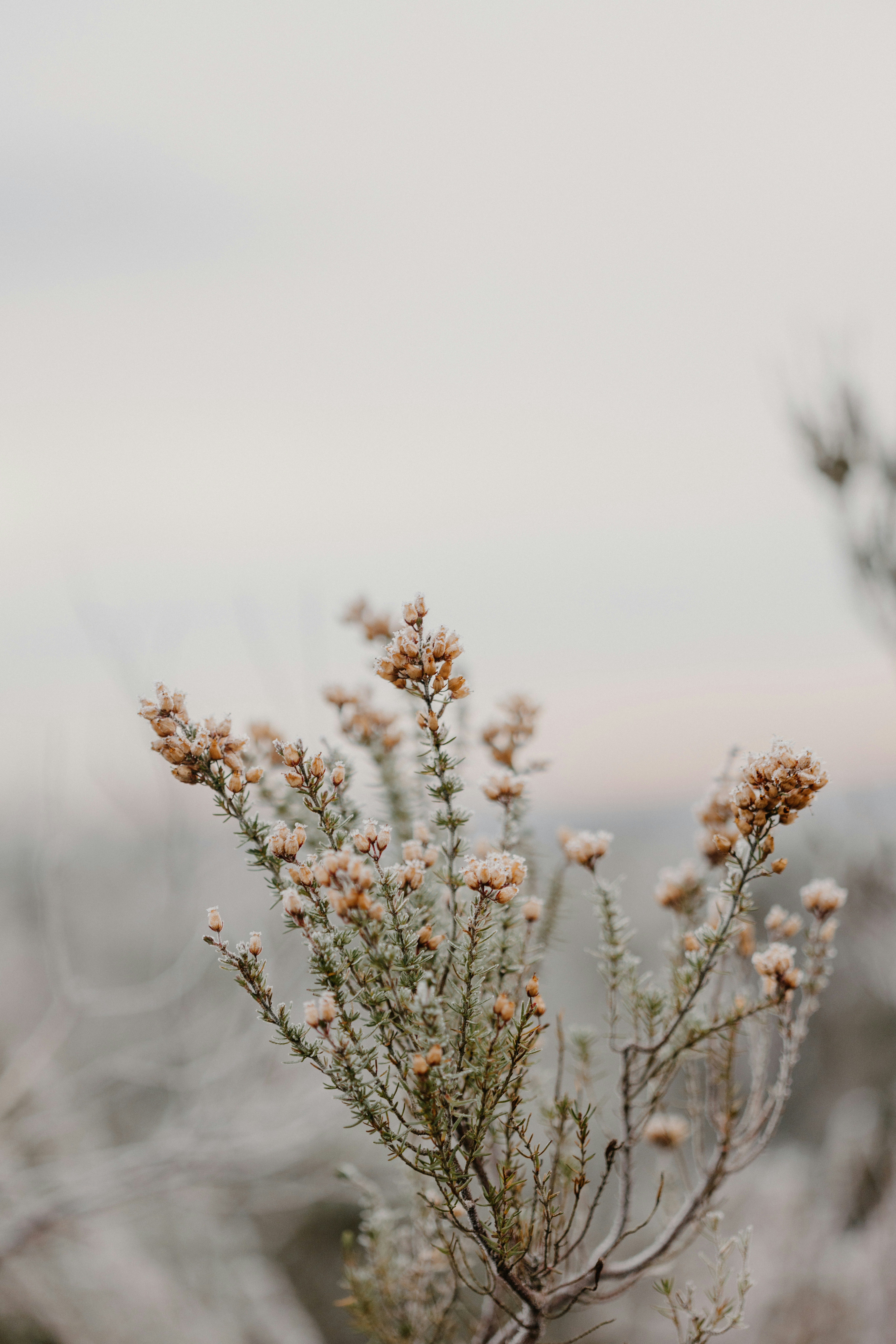 Photo by anniespratt