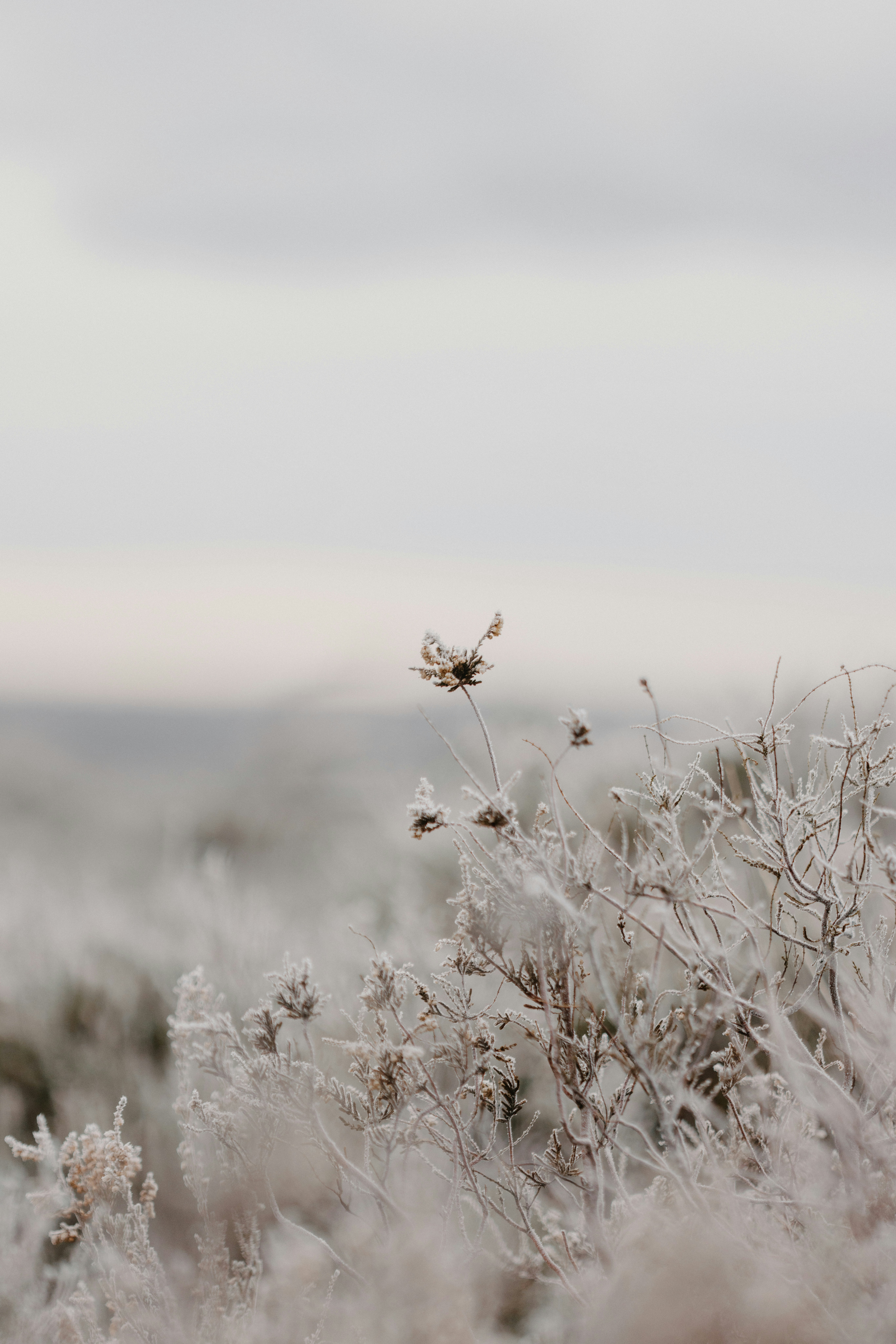 Photo by anniespratt