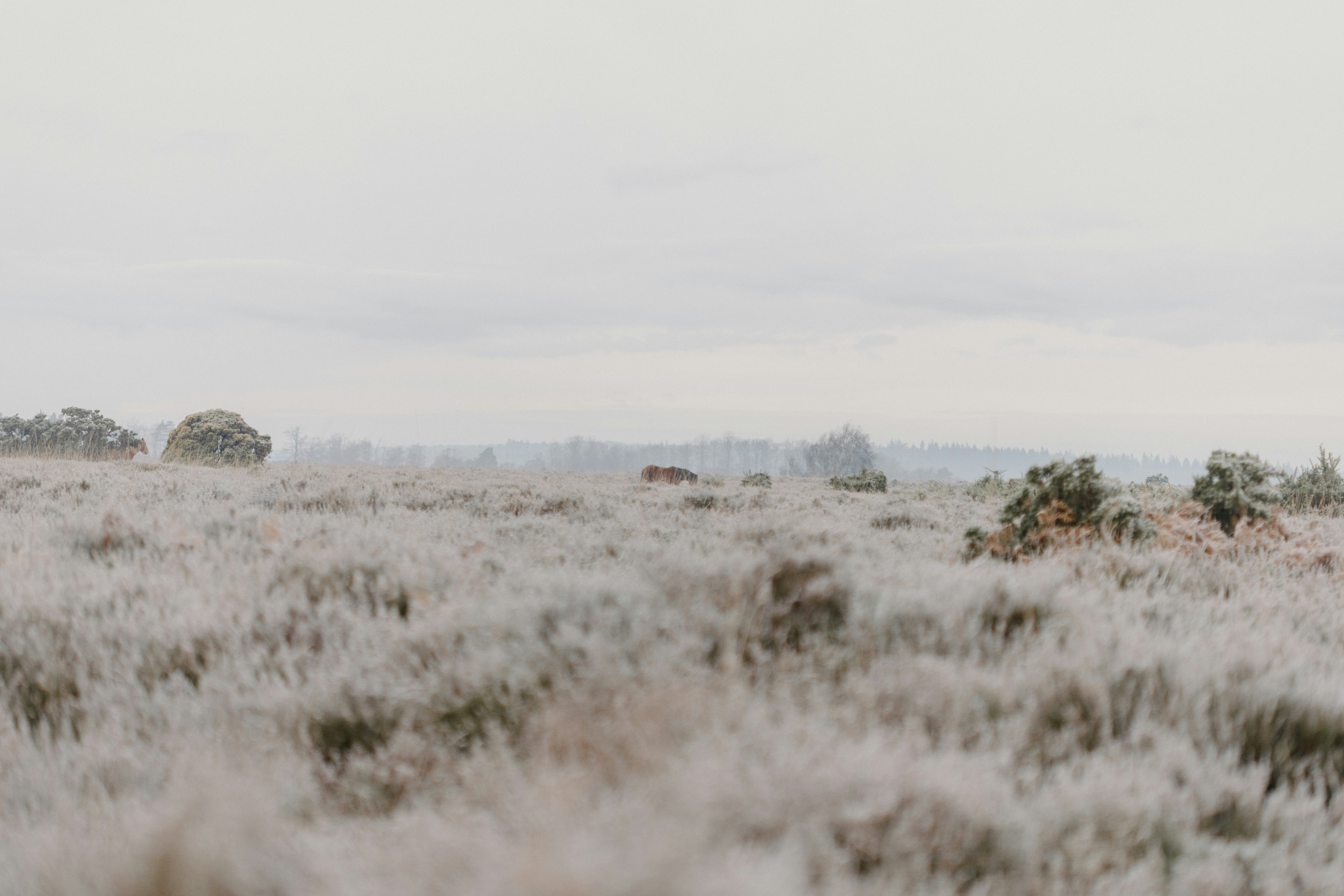 Photo by anniespratt