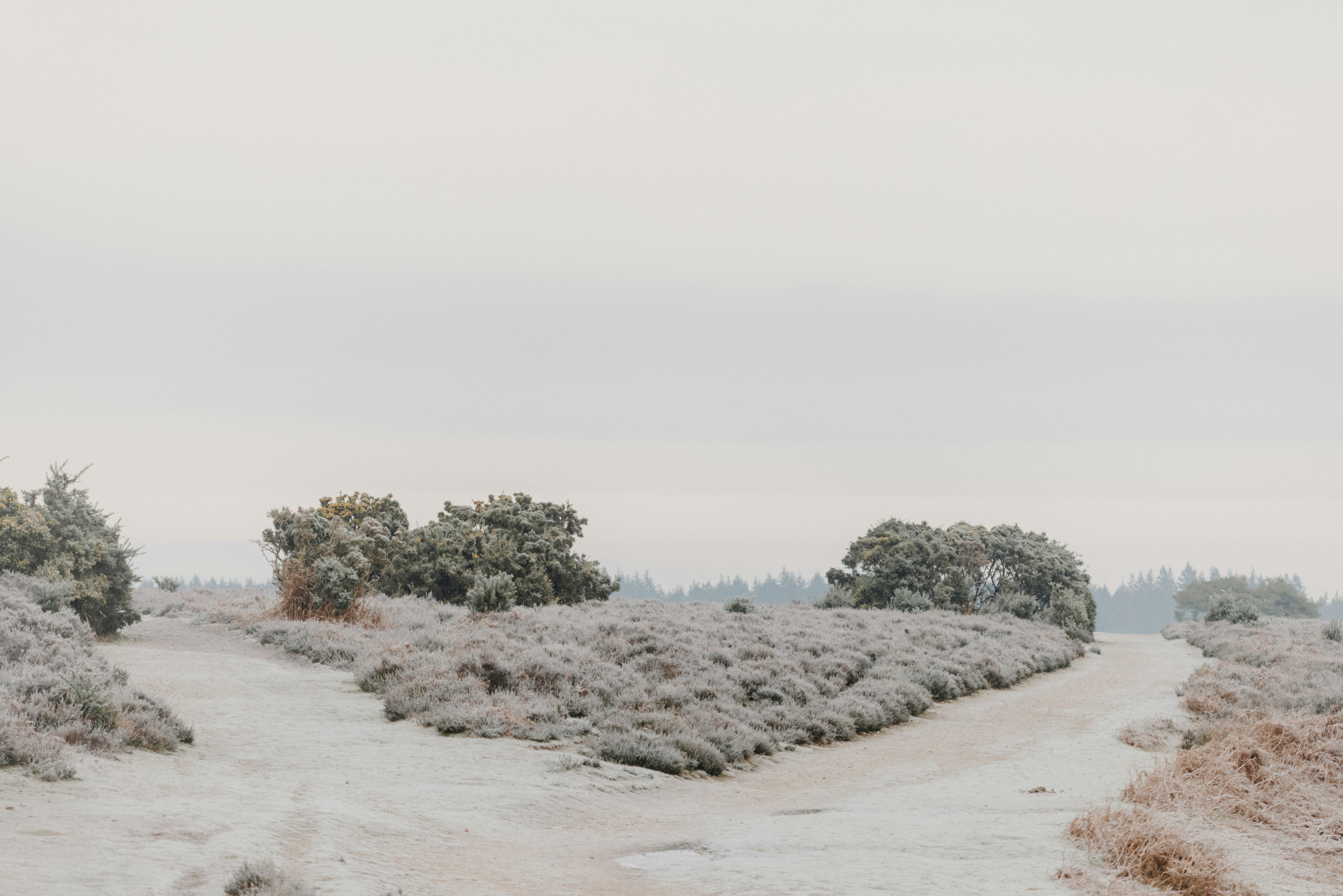 Photo by anniespratt