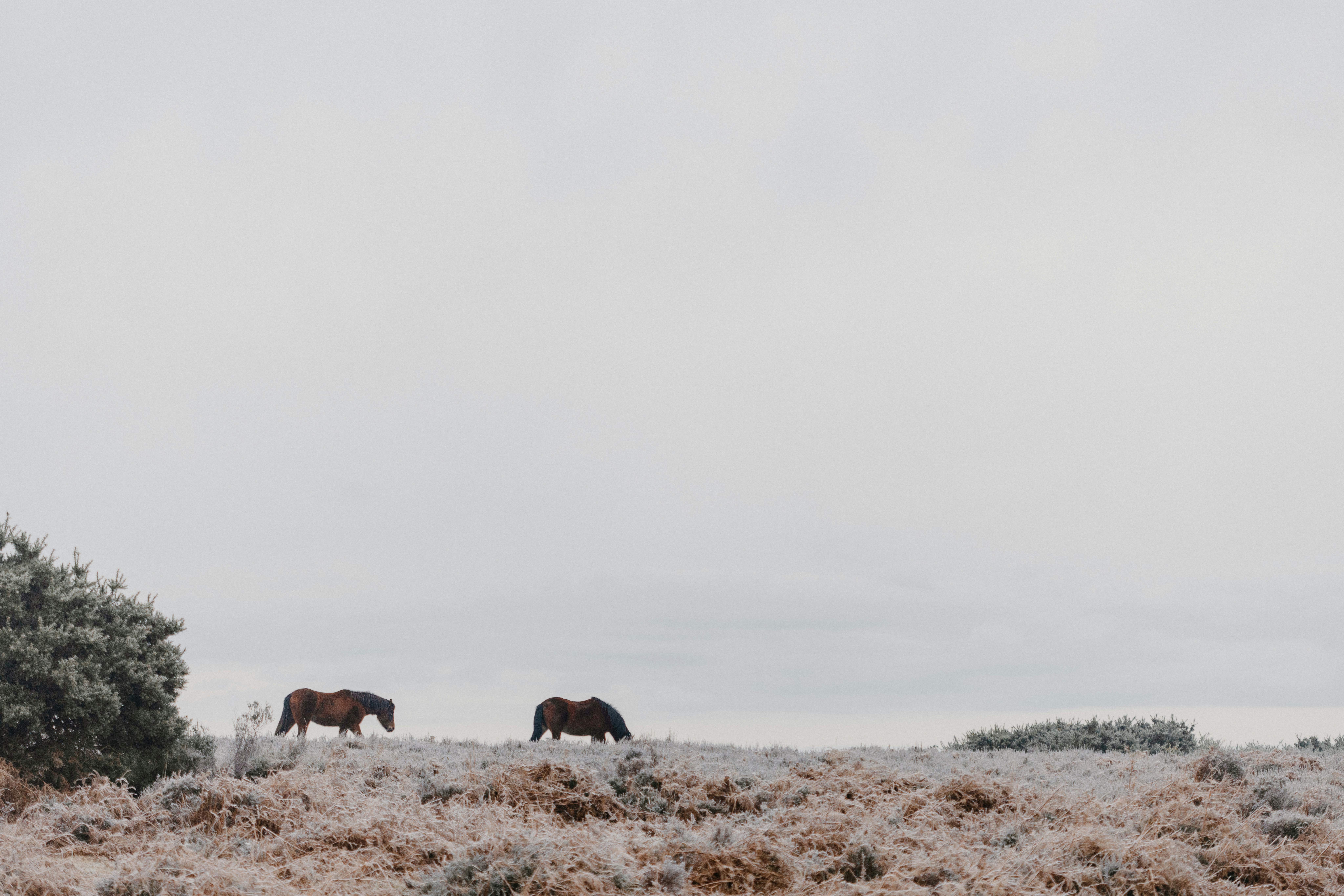 Photo by anniespratt