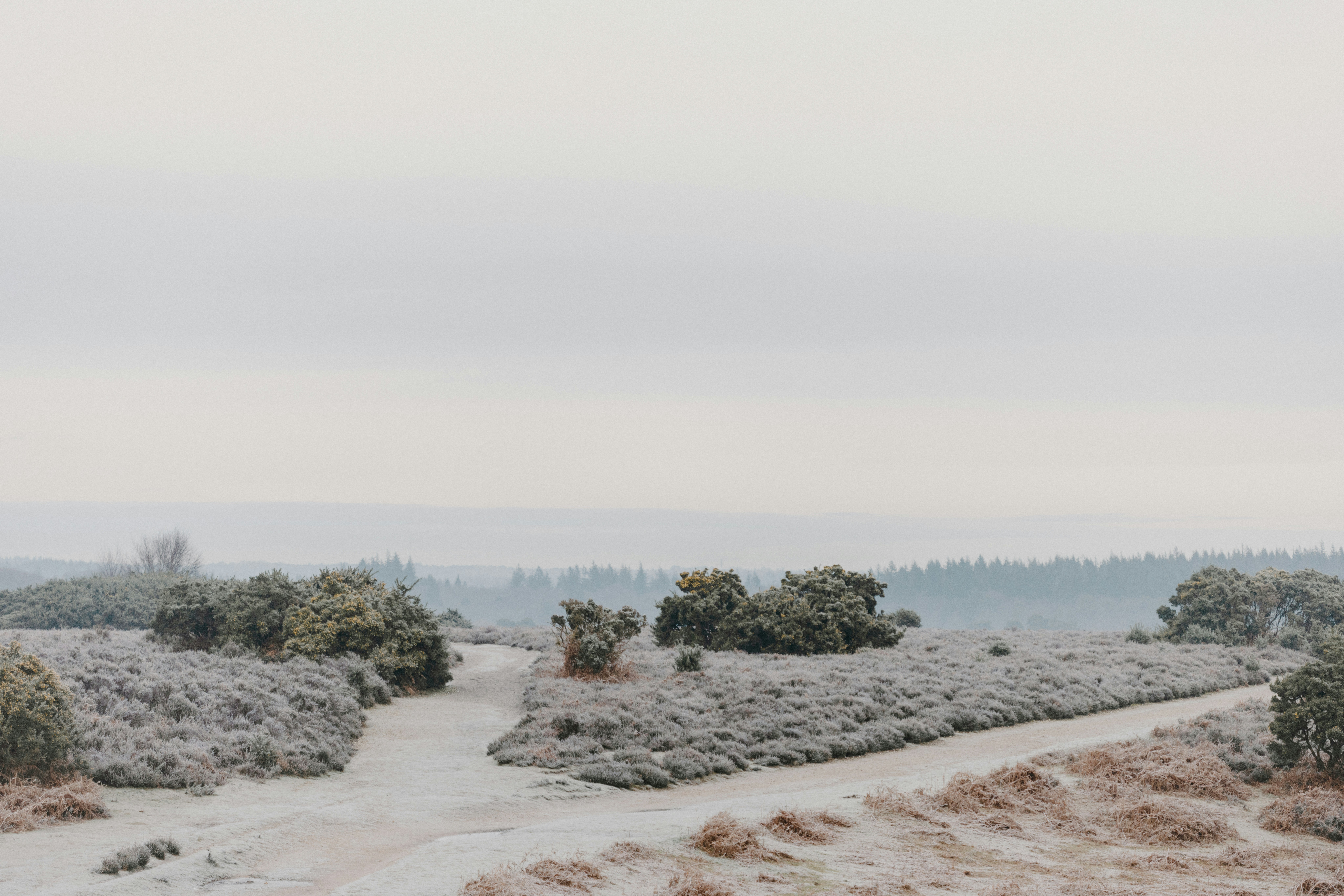 Photo by anniespratt