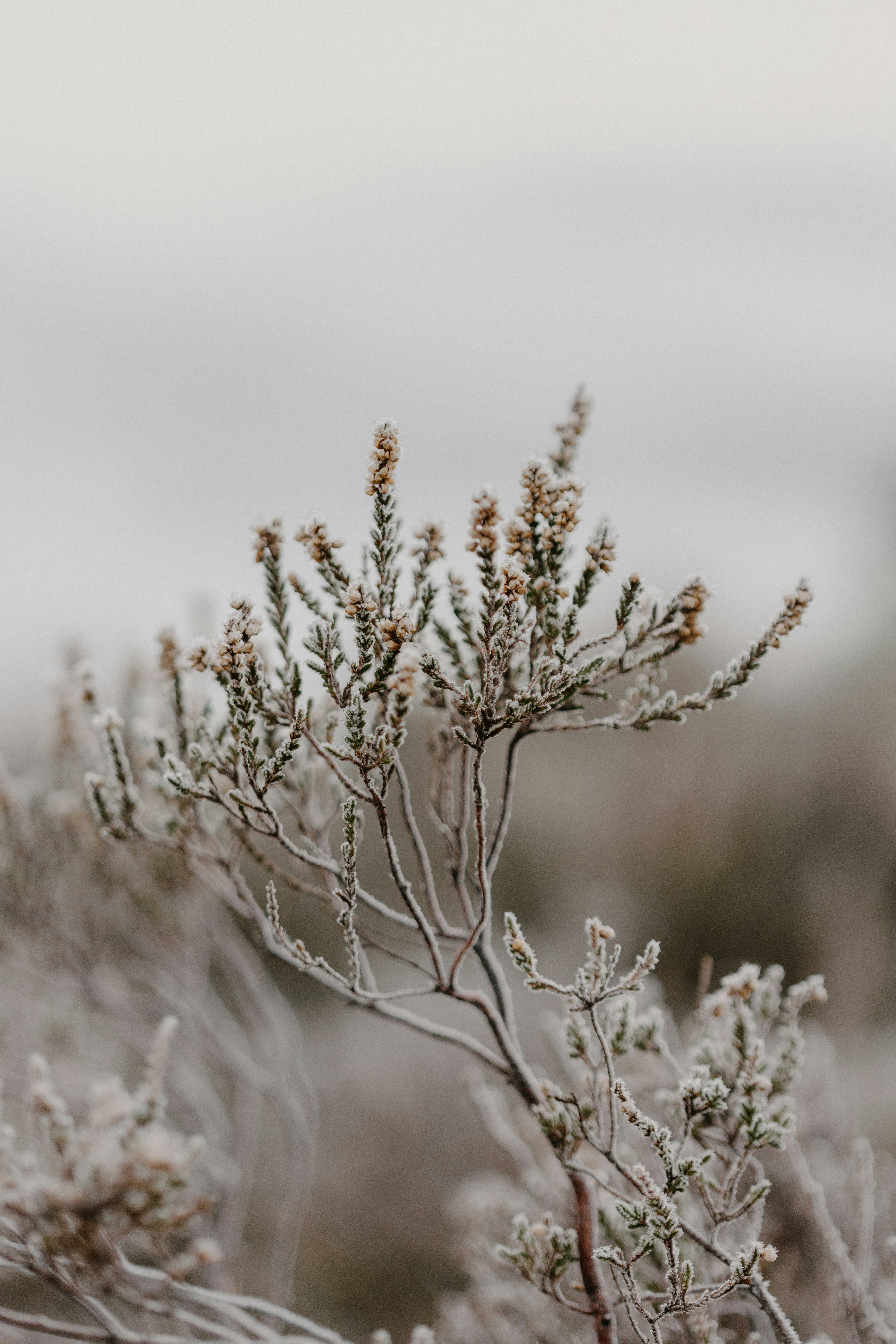 Photo by anniespratt