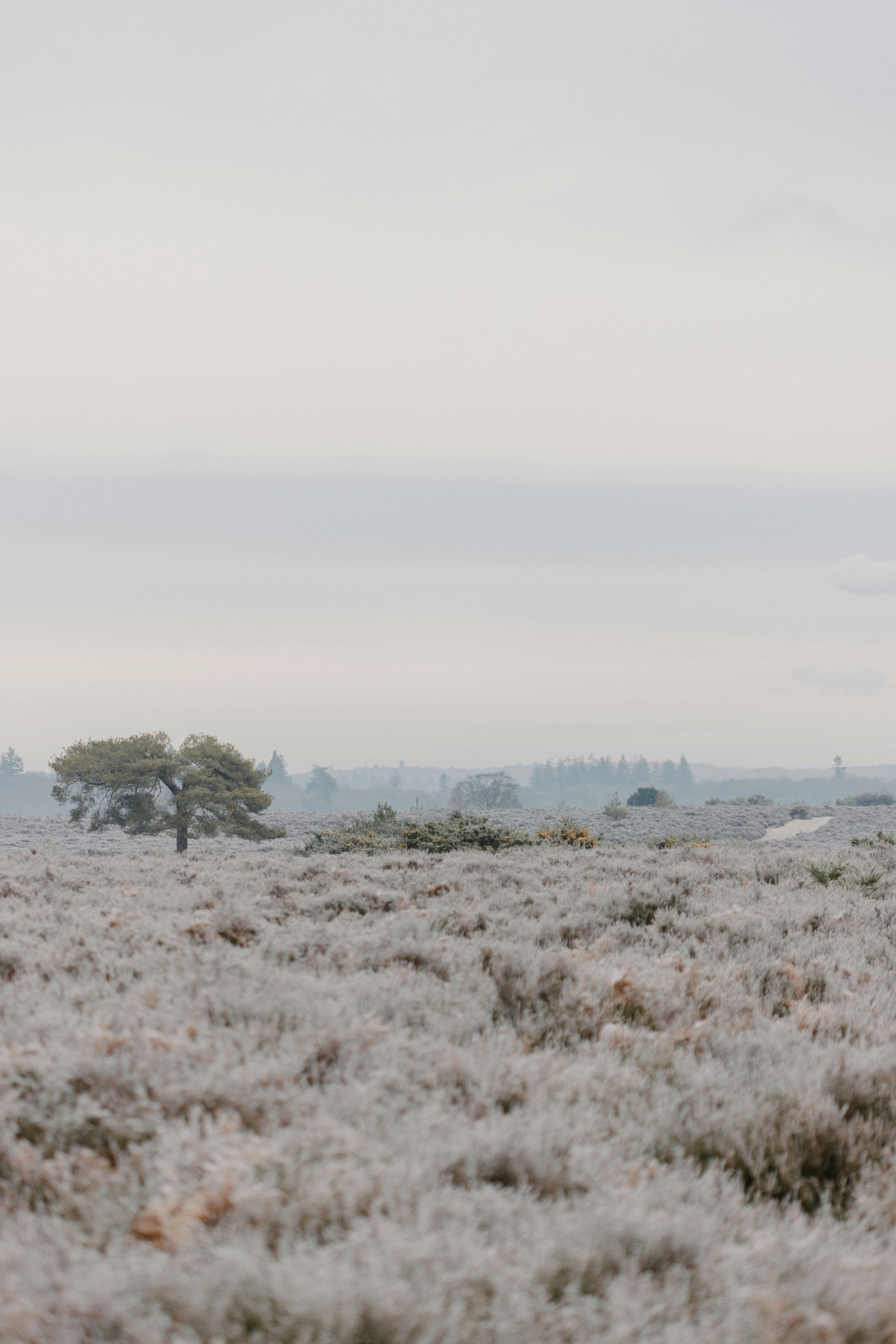 Photo by anniespratt