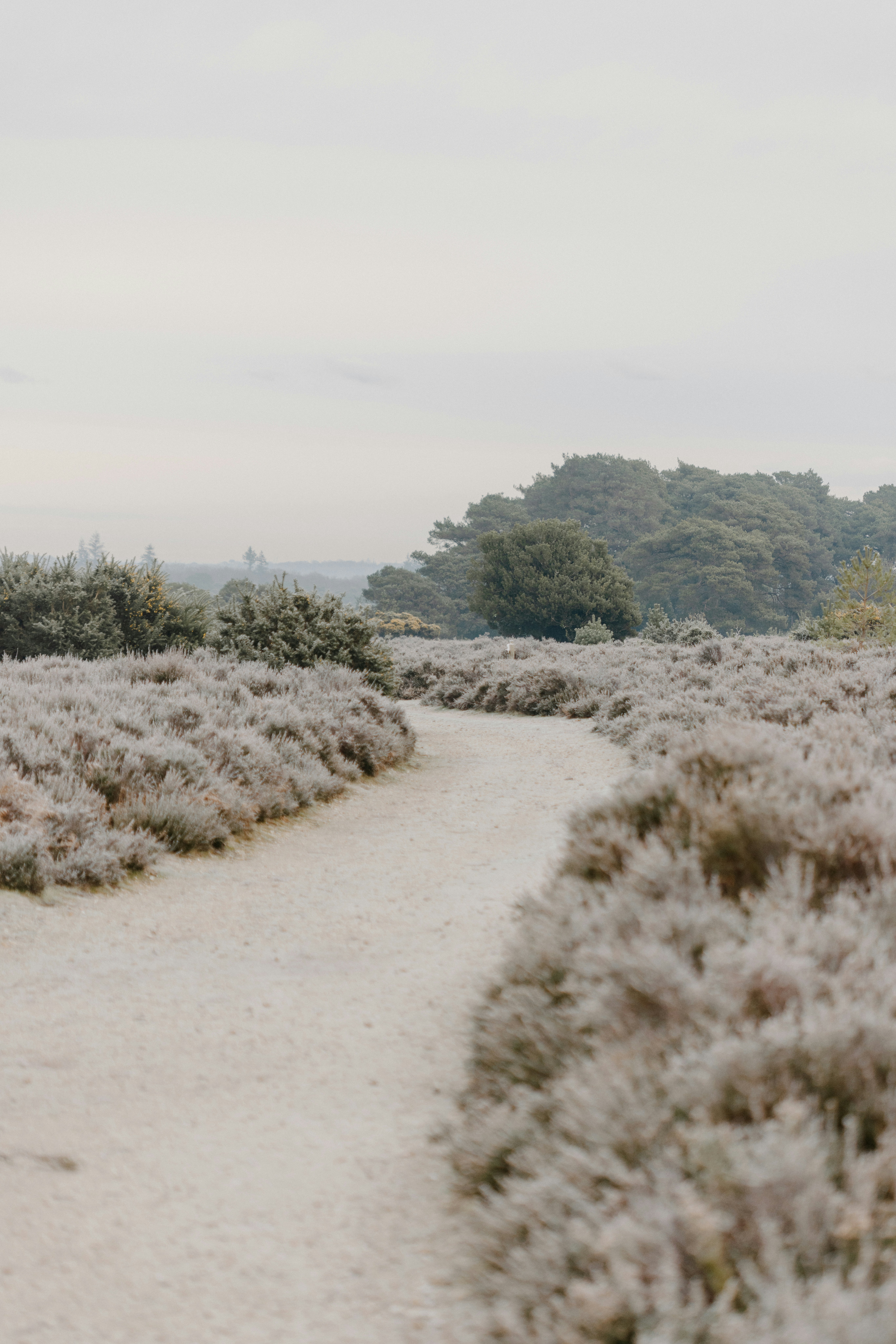 Photo by anniespratt