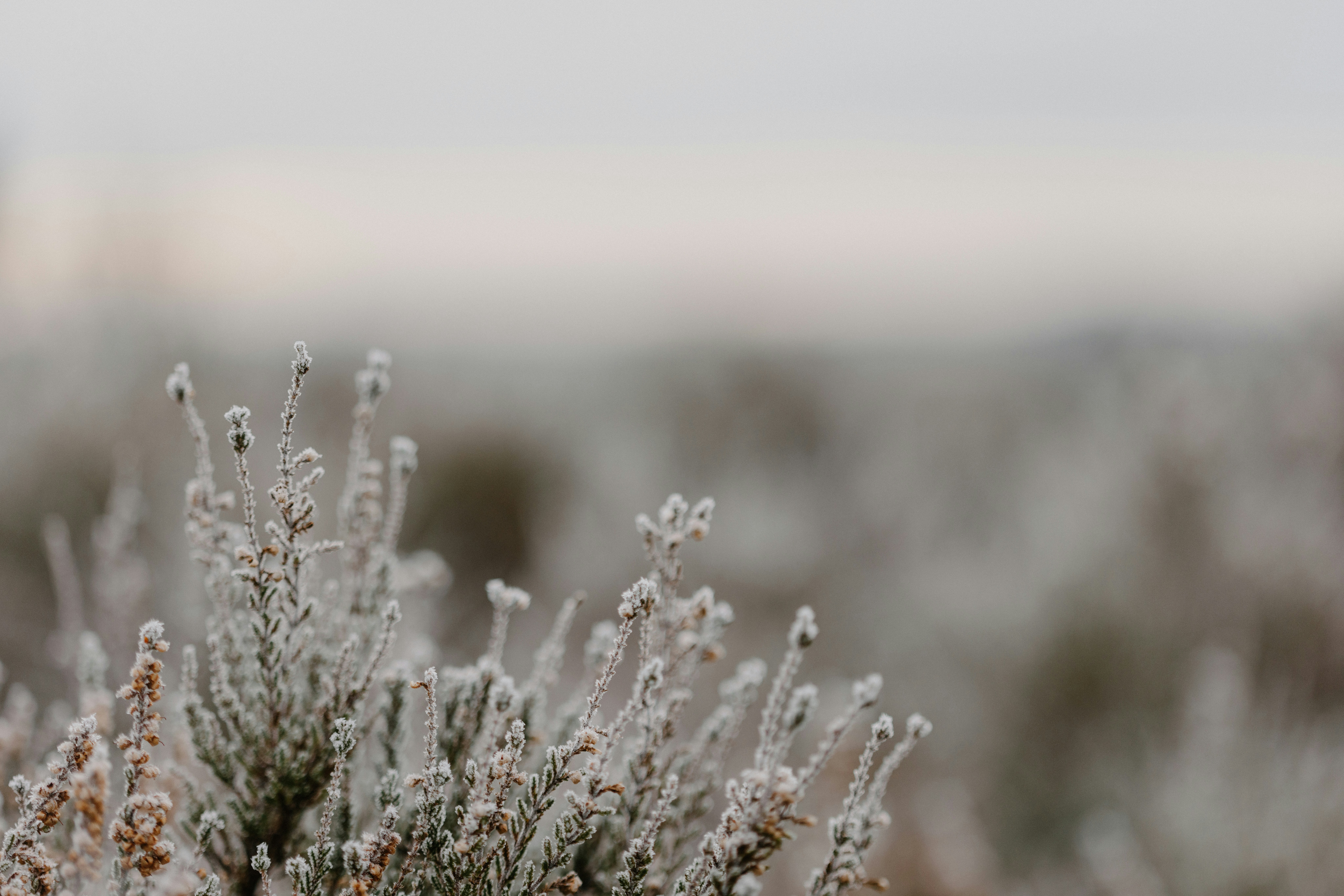 Photo by anniespratt