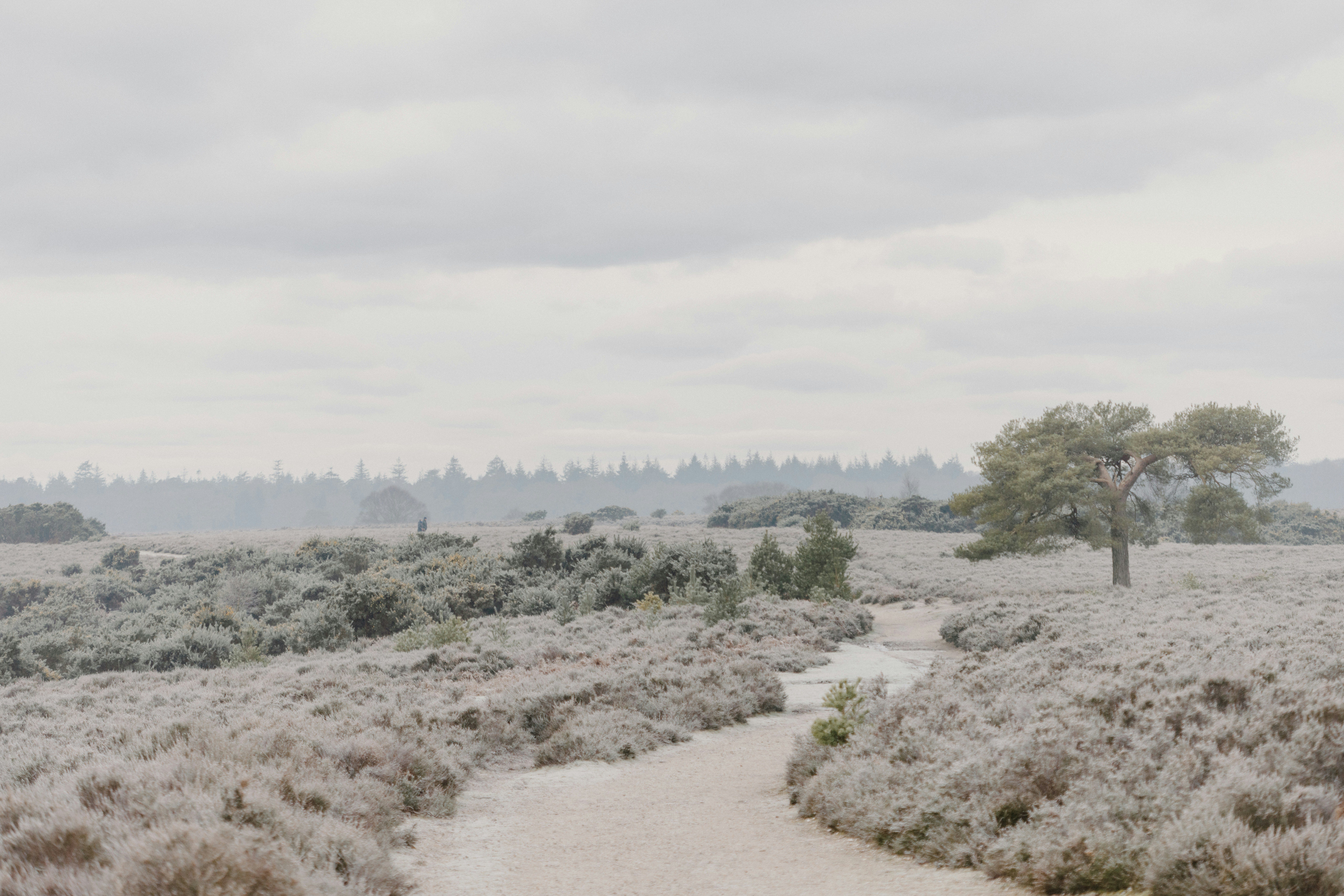 Photo by anniespratt