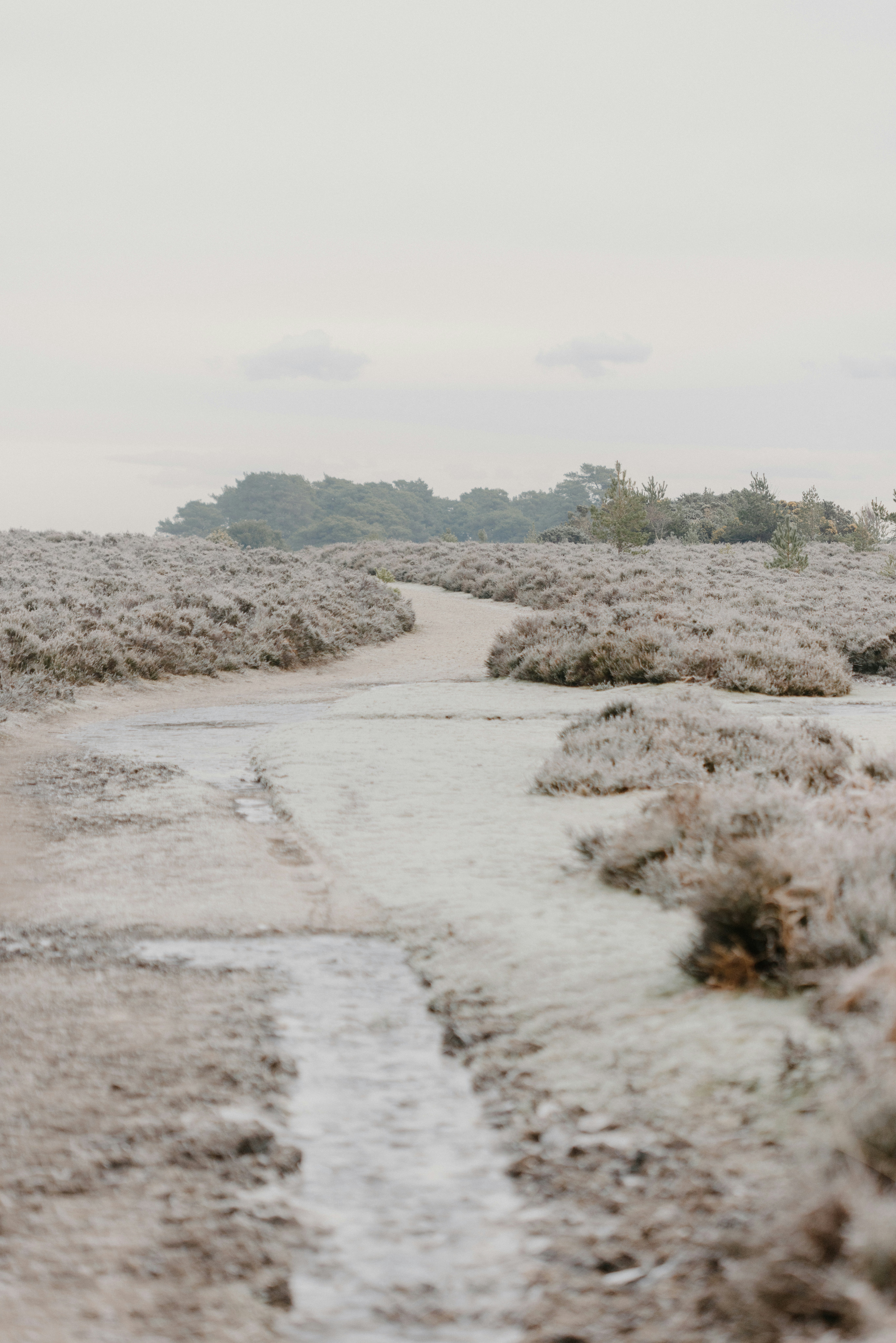 Photo by anniespratt