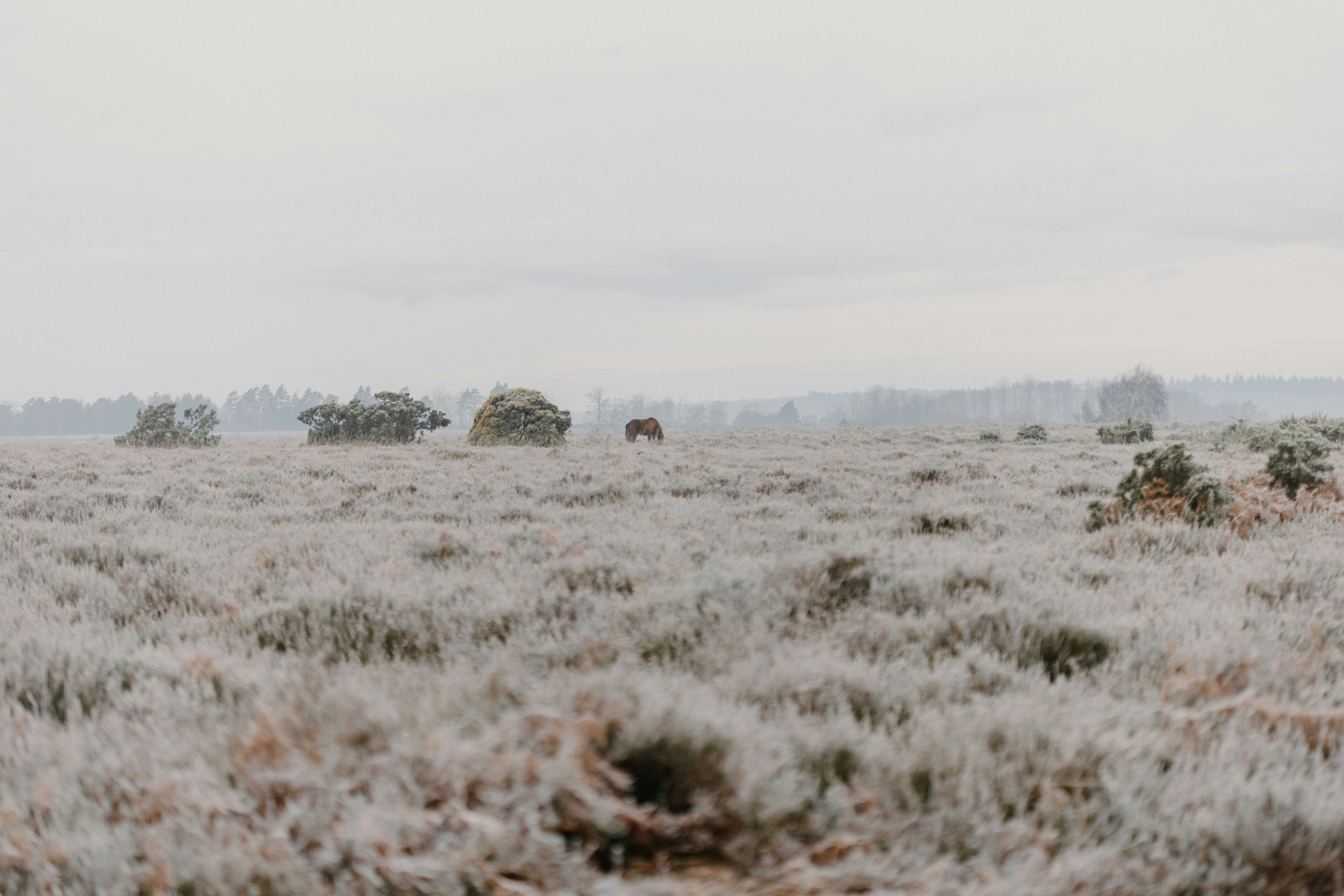 Photo by anniespratt