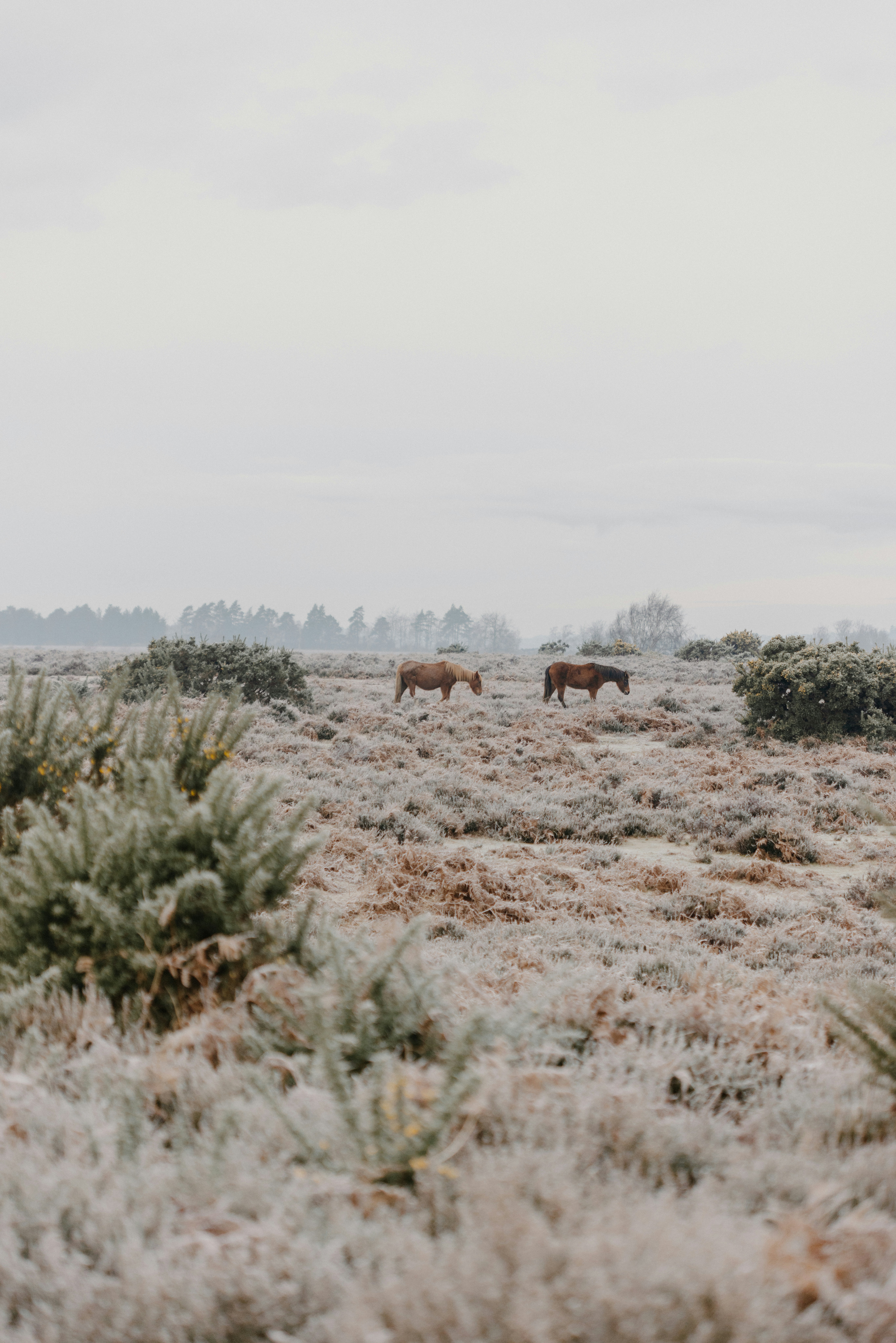 Photo by anniespratt