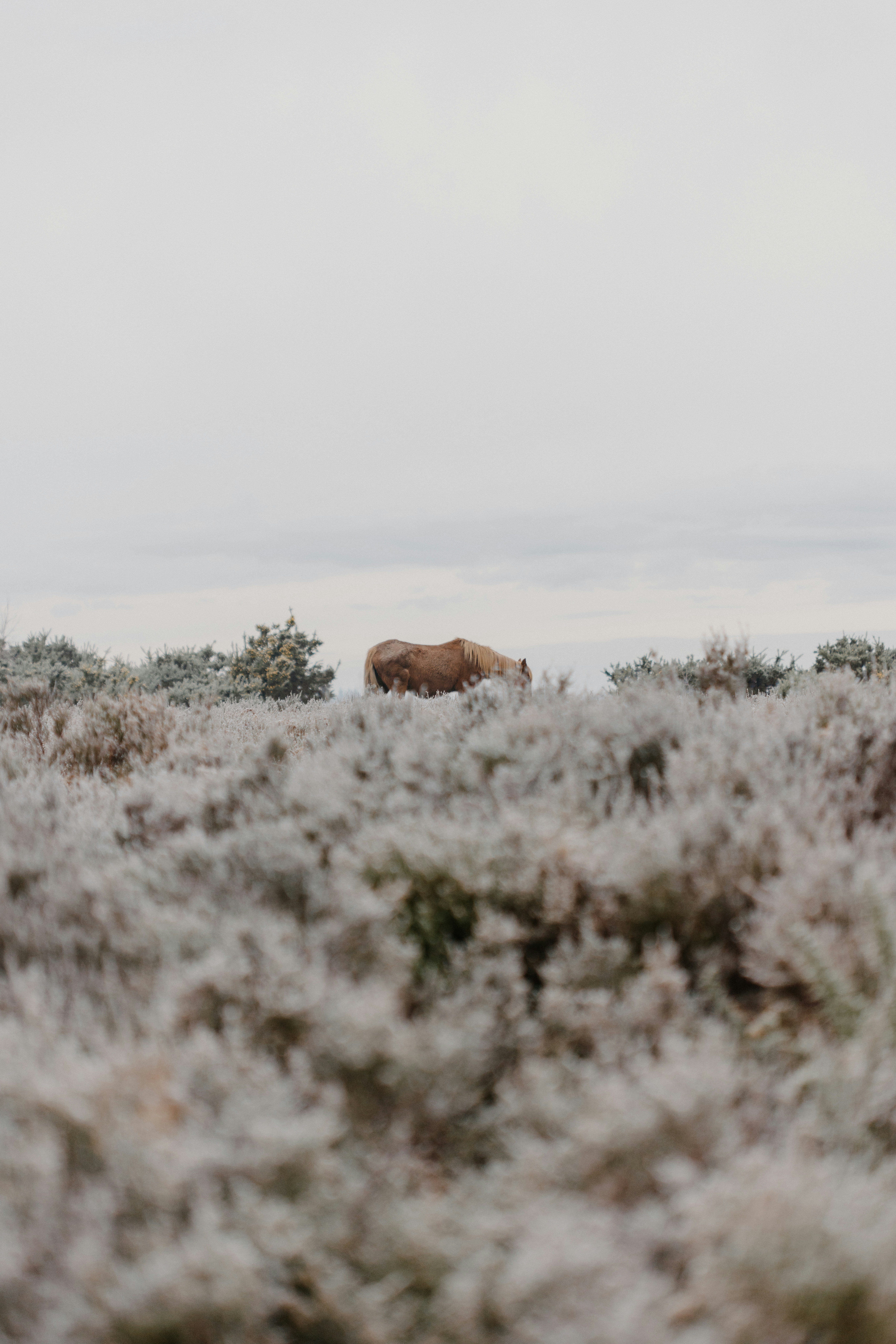 Photo by anniespratt