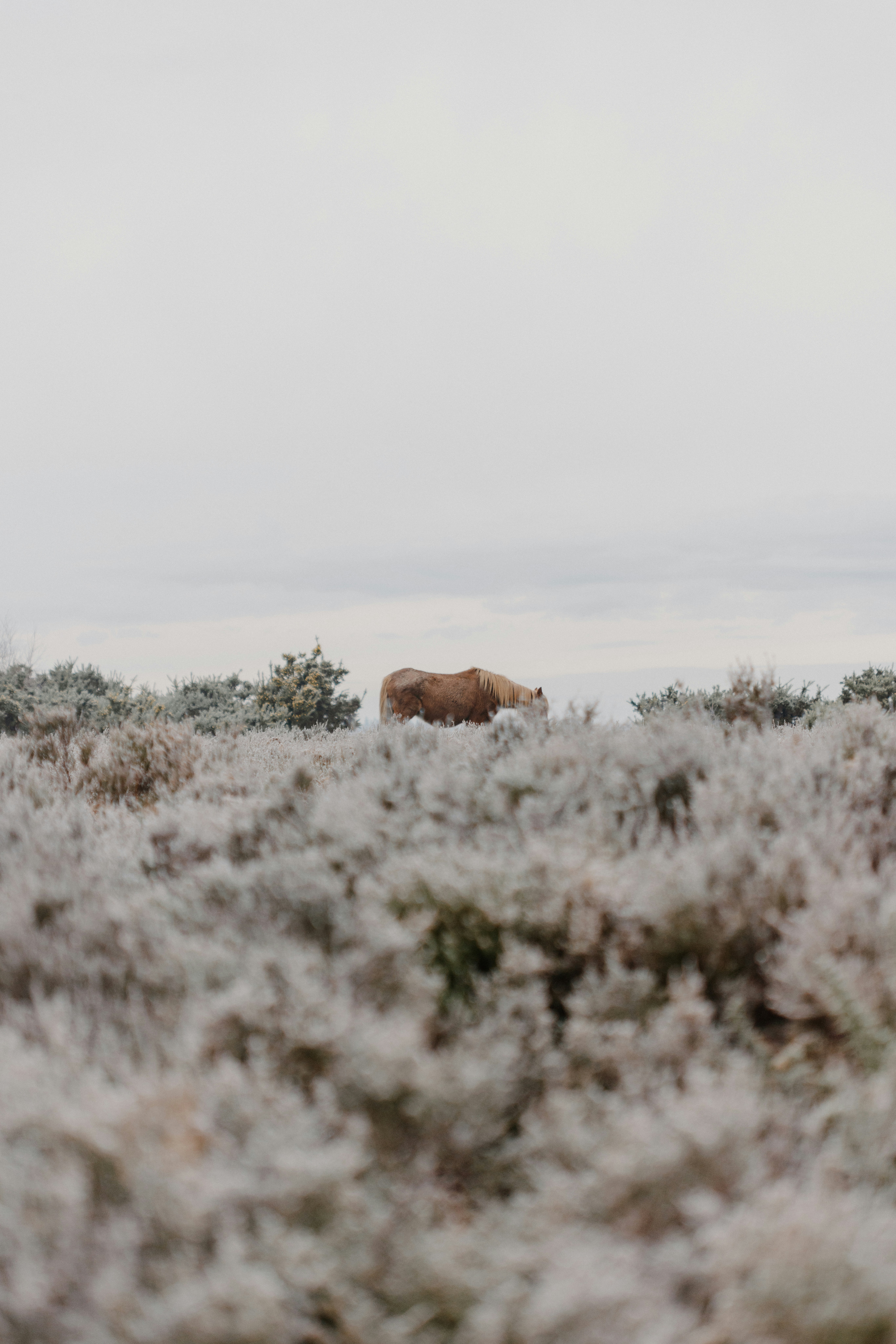 Photo by anniespratt