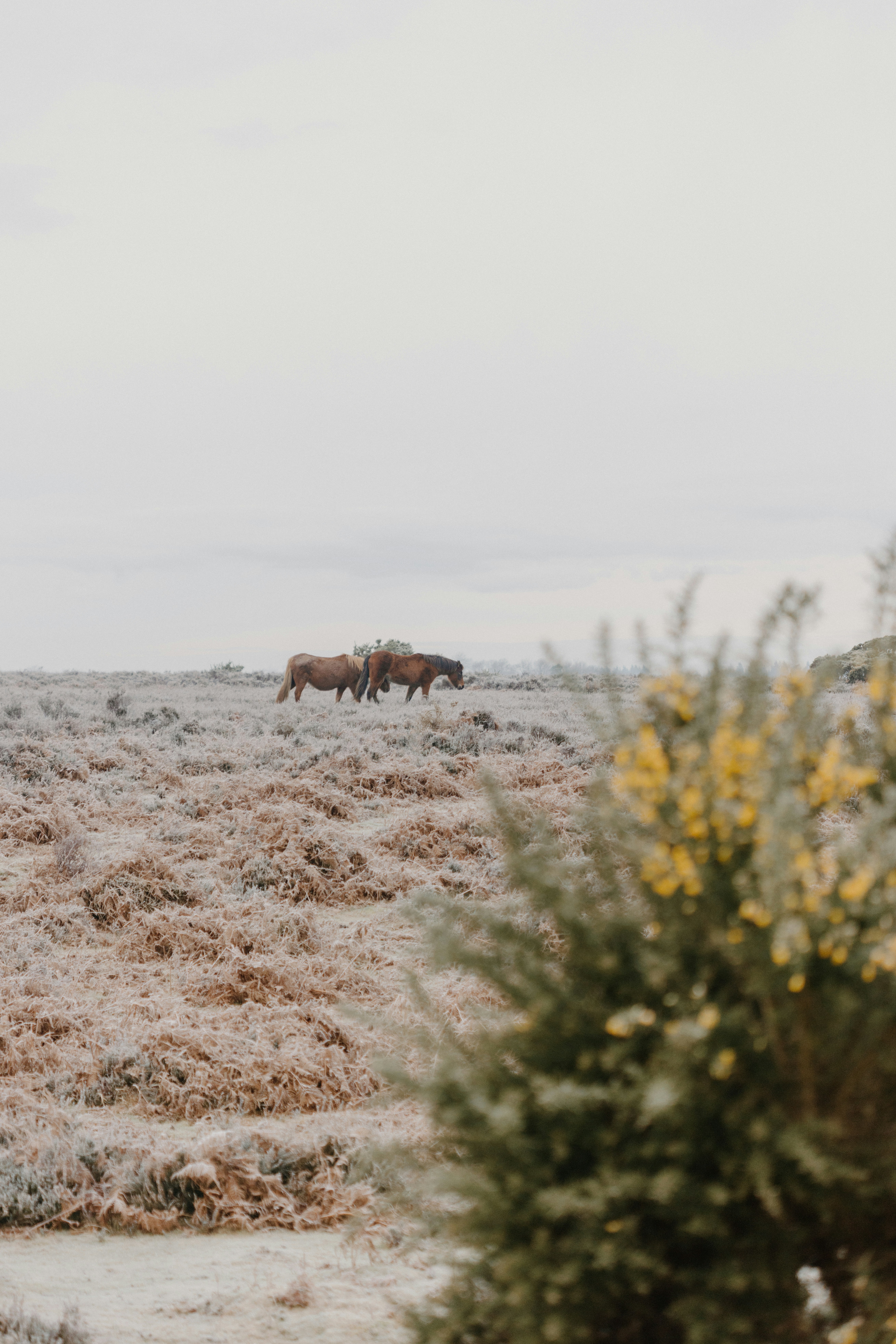 Photo by anniespratt