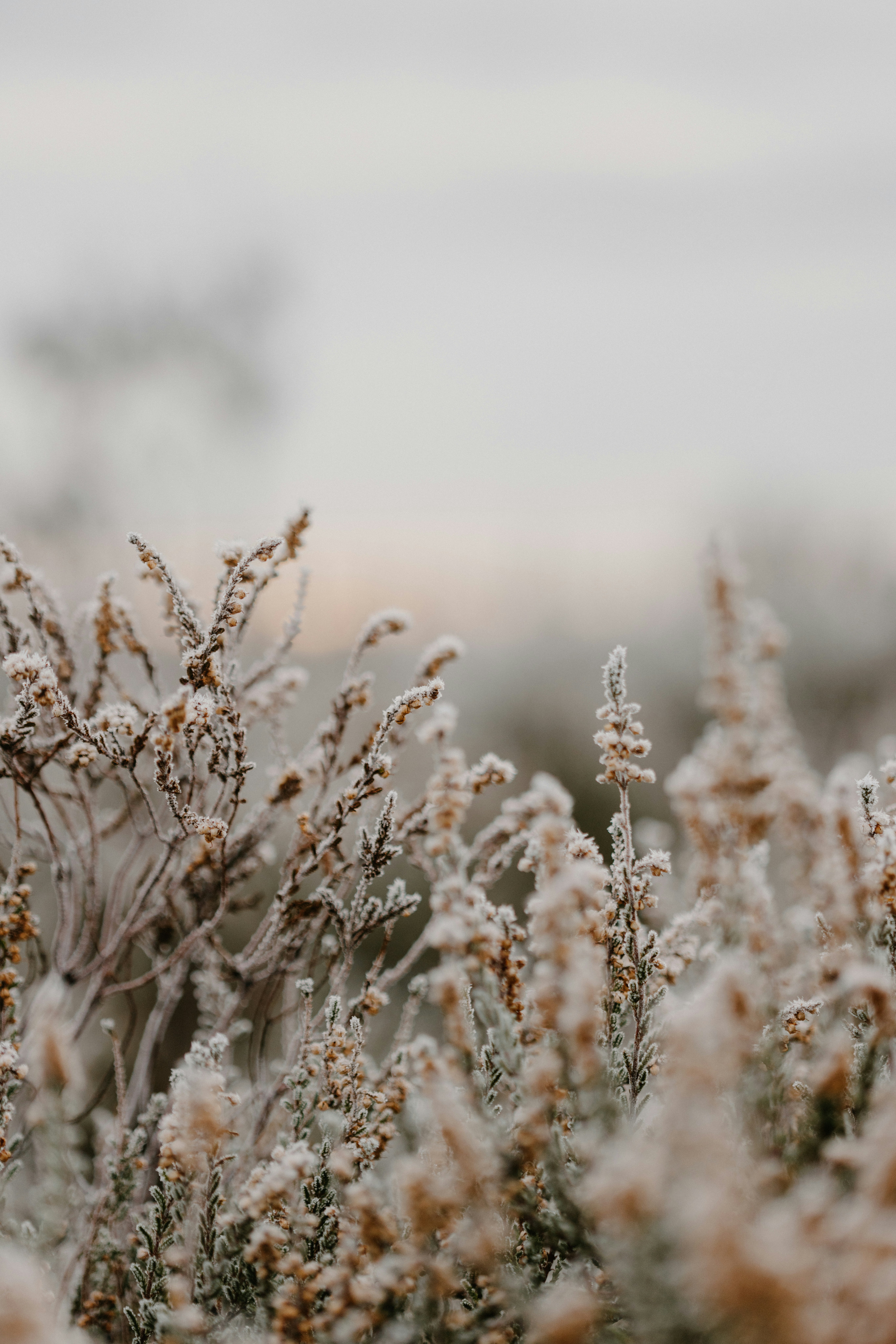 Photo by anniespratt