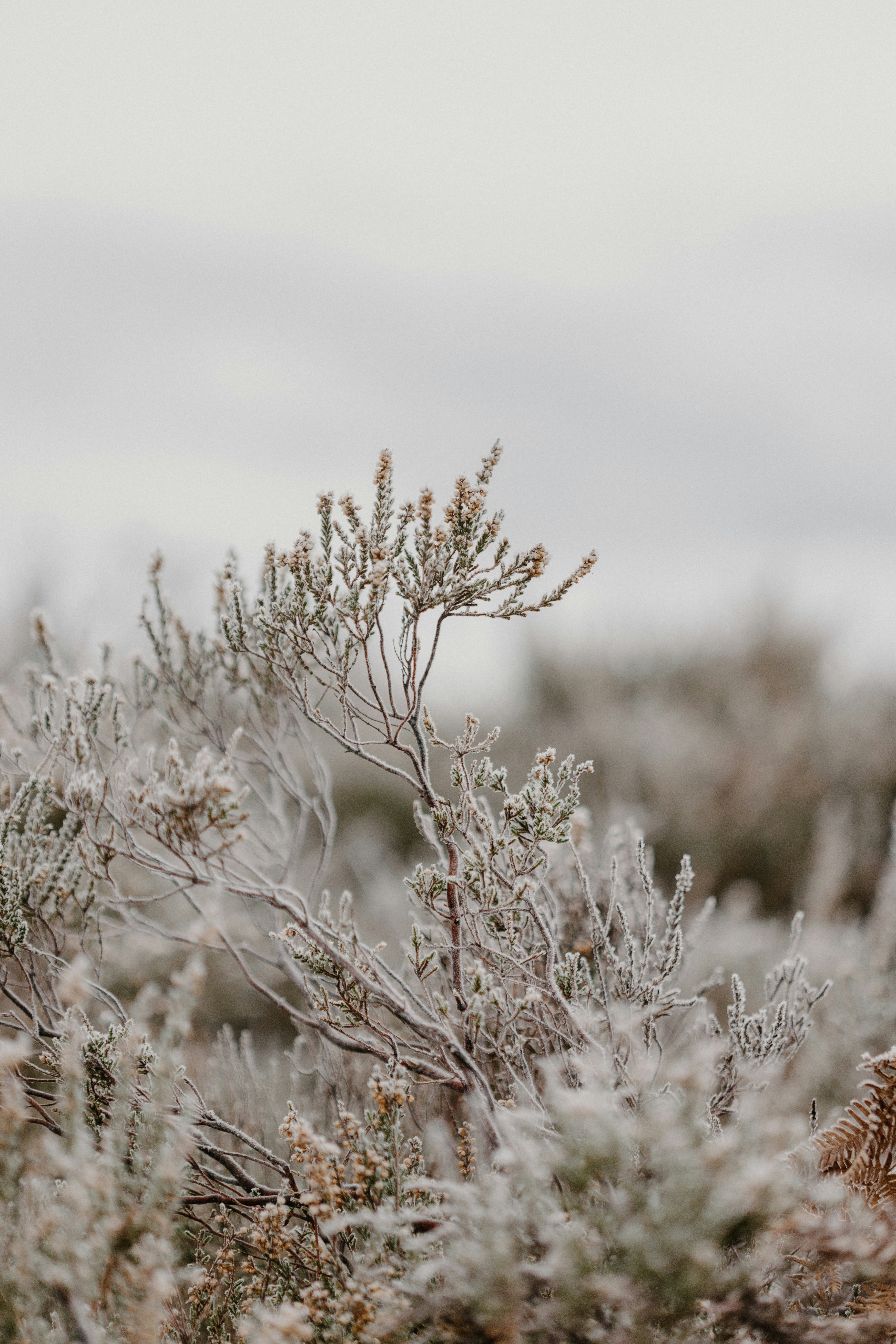 Photo by anniespratt