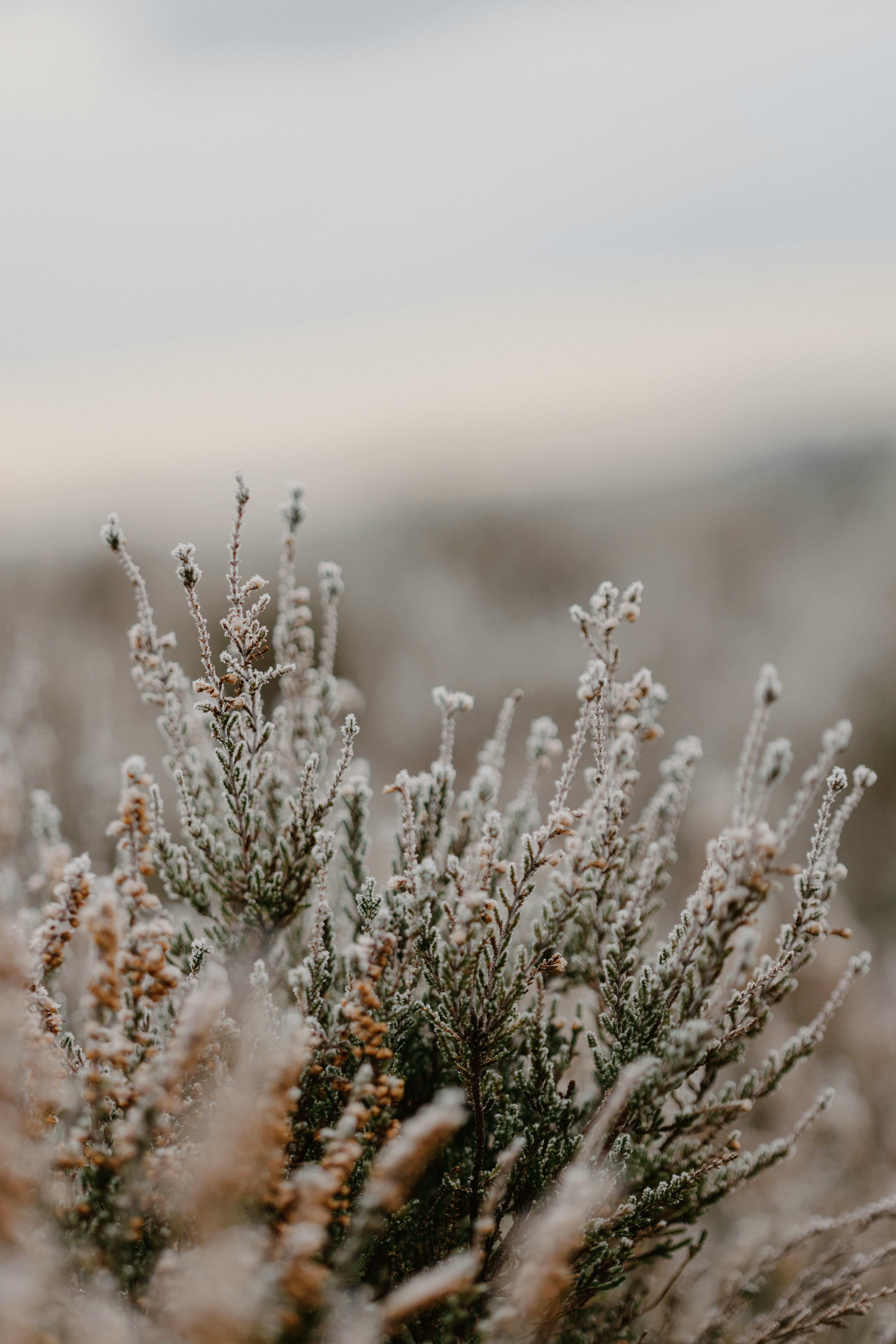 Photo by anniespratt