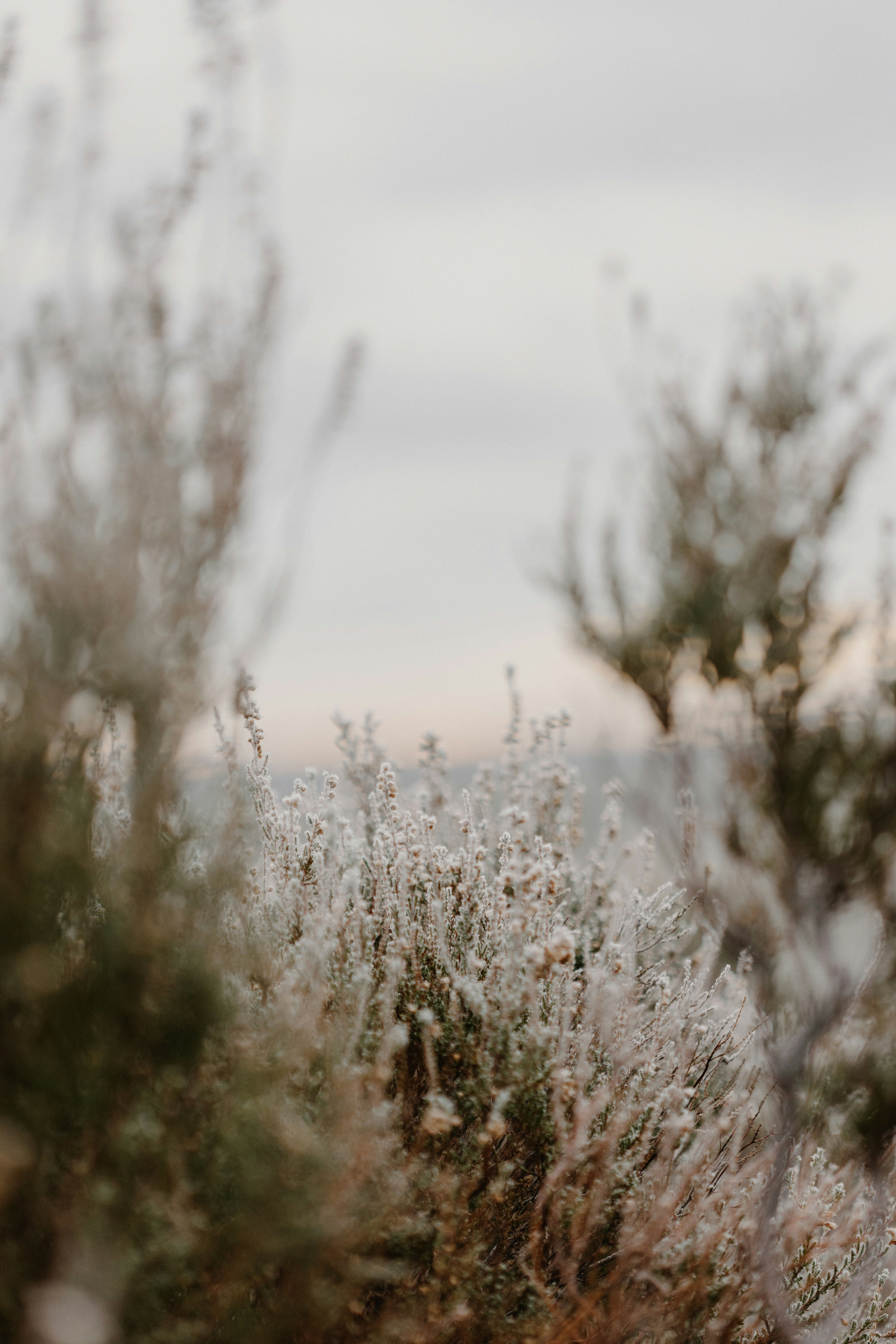 Photo by anniespratt