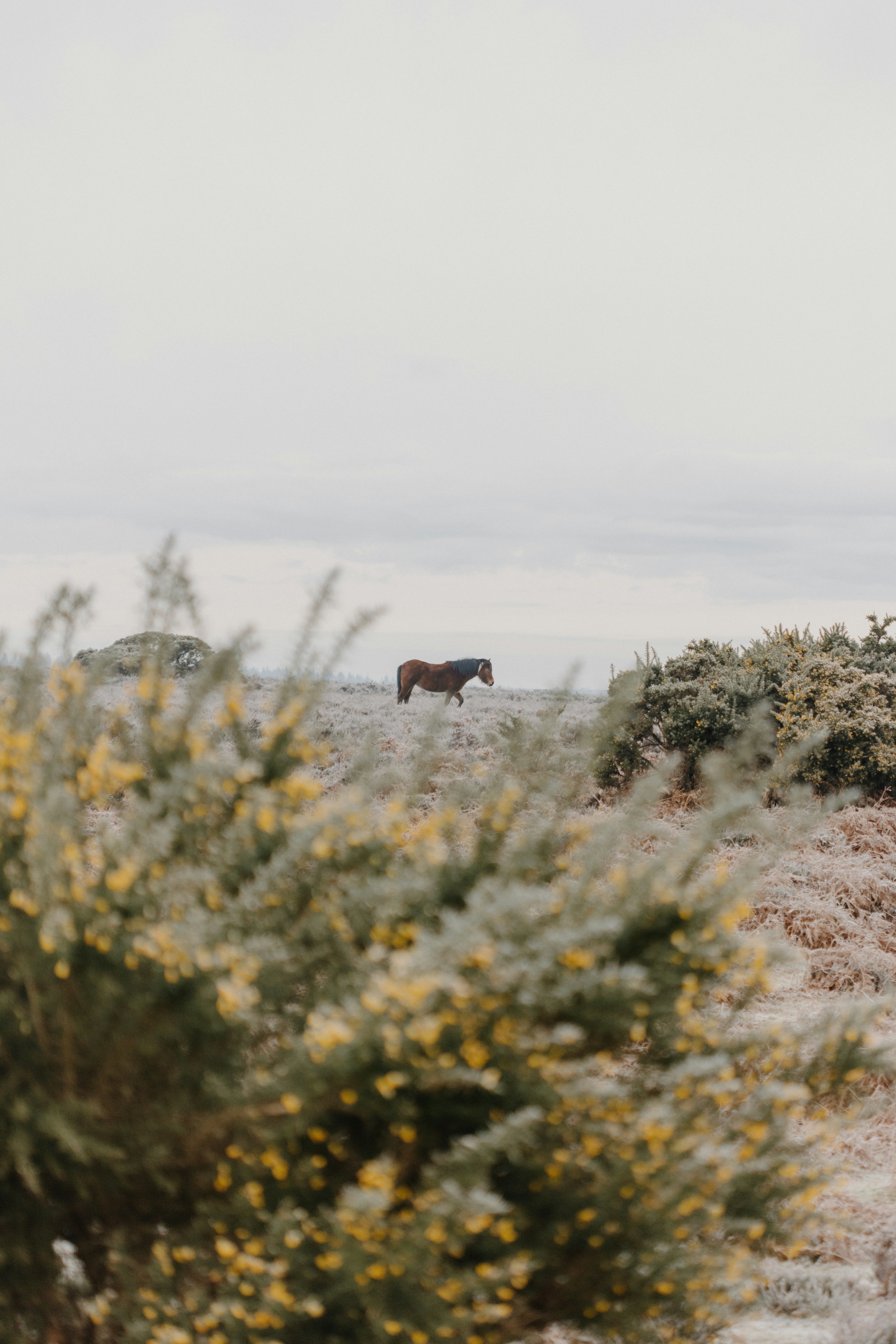 Photo by anniespratt