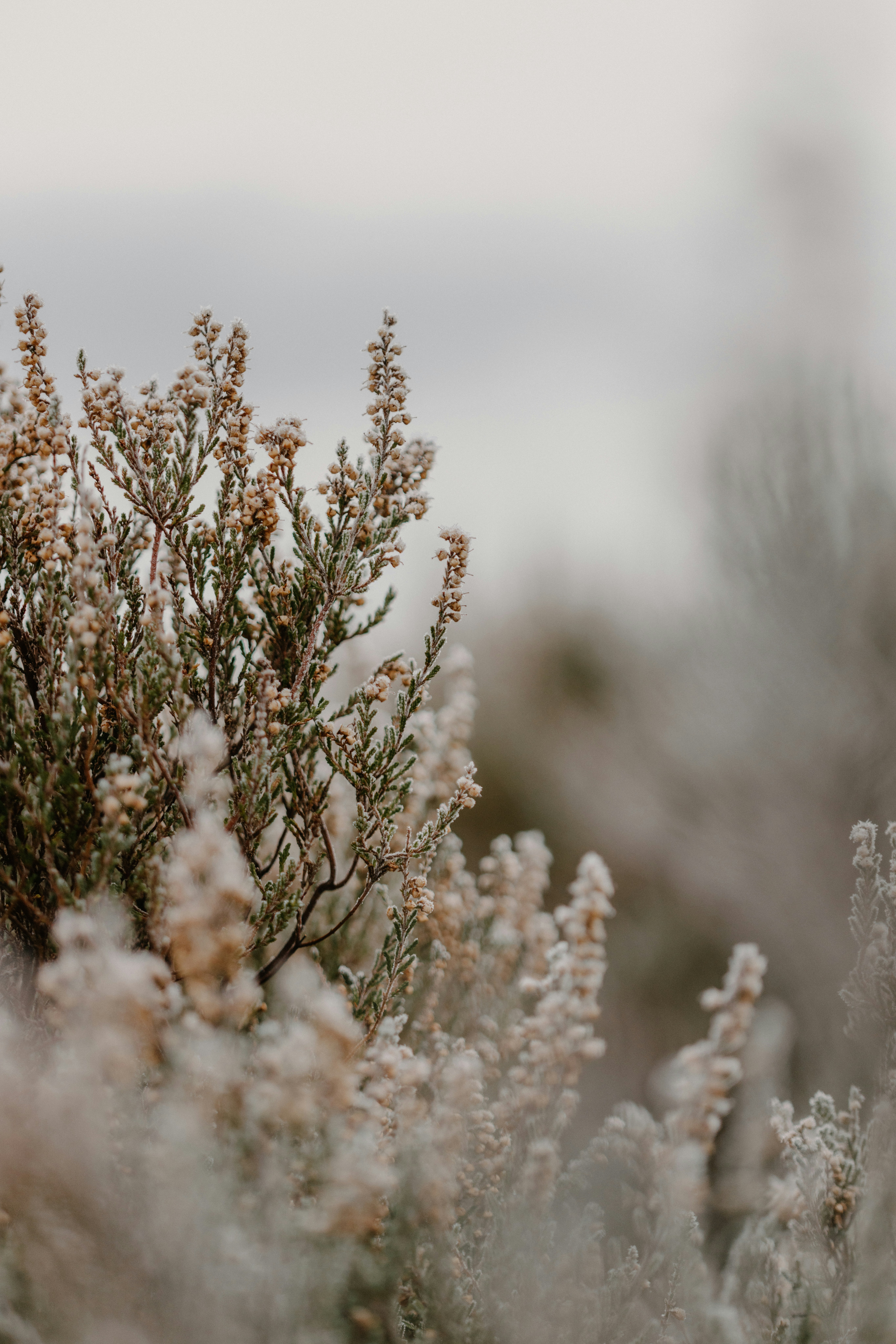 Photo by anniespratt