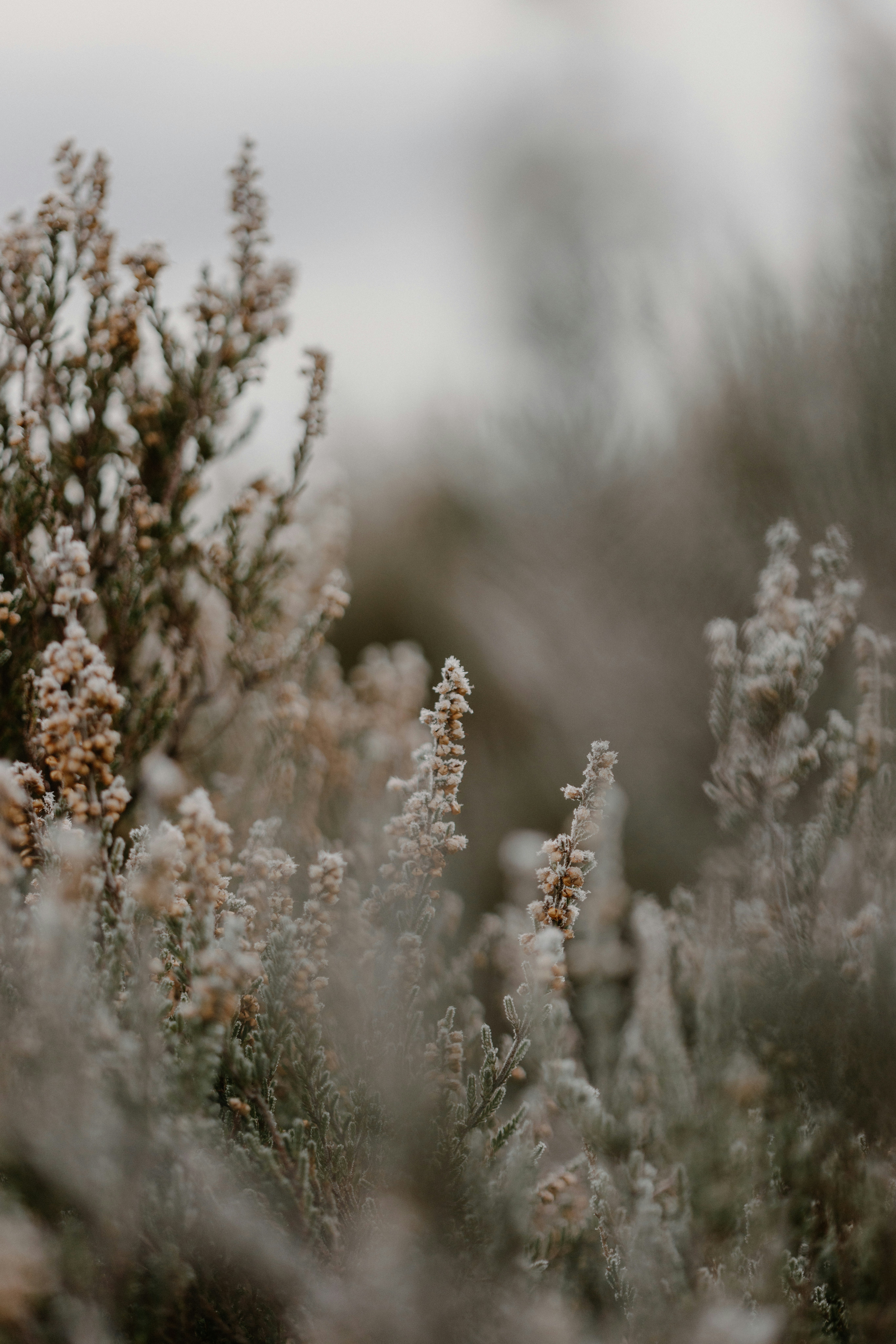 Photo by anniespratt