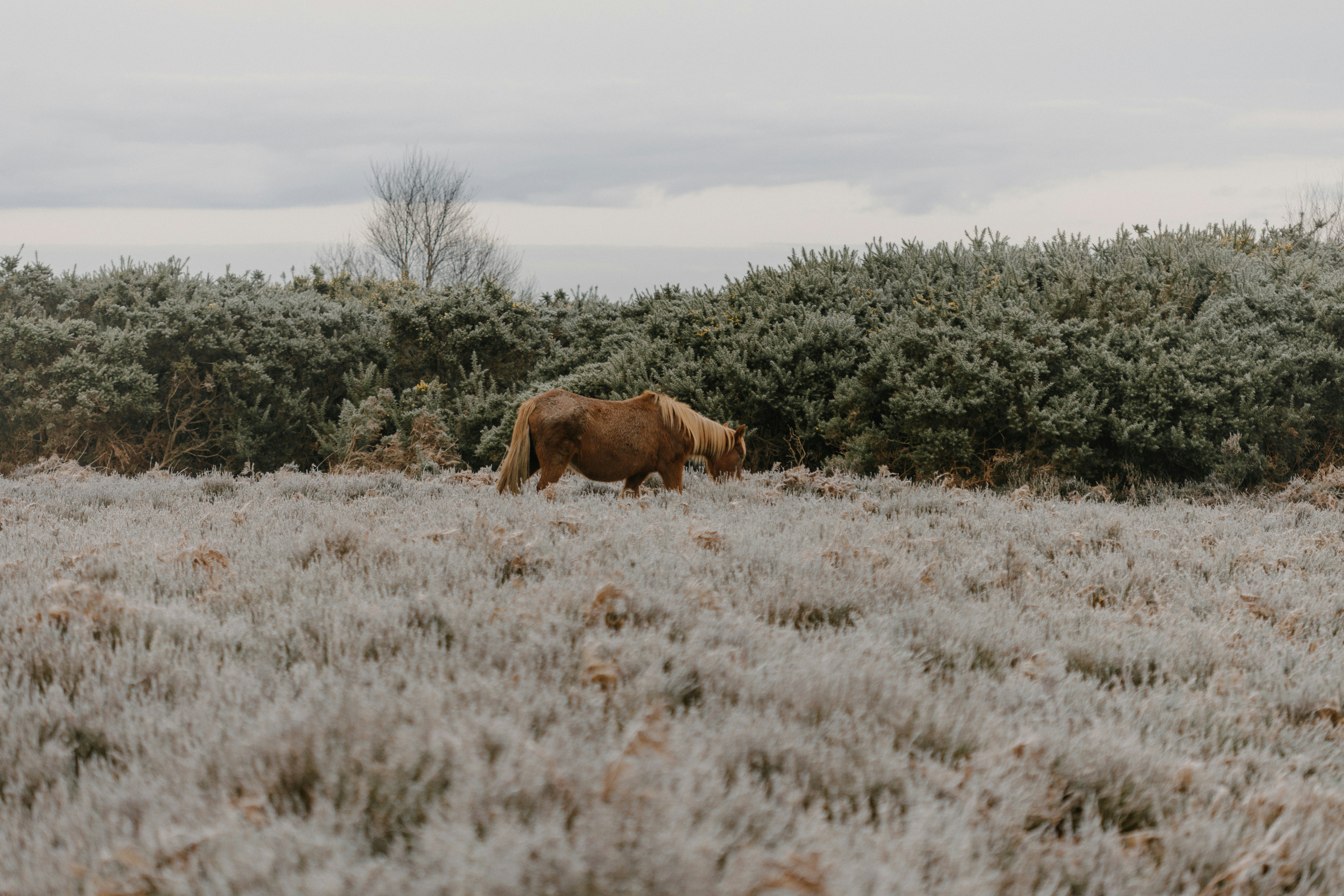 Photo by anniespratt