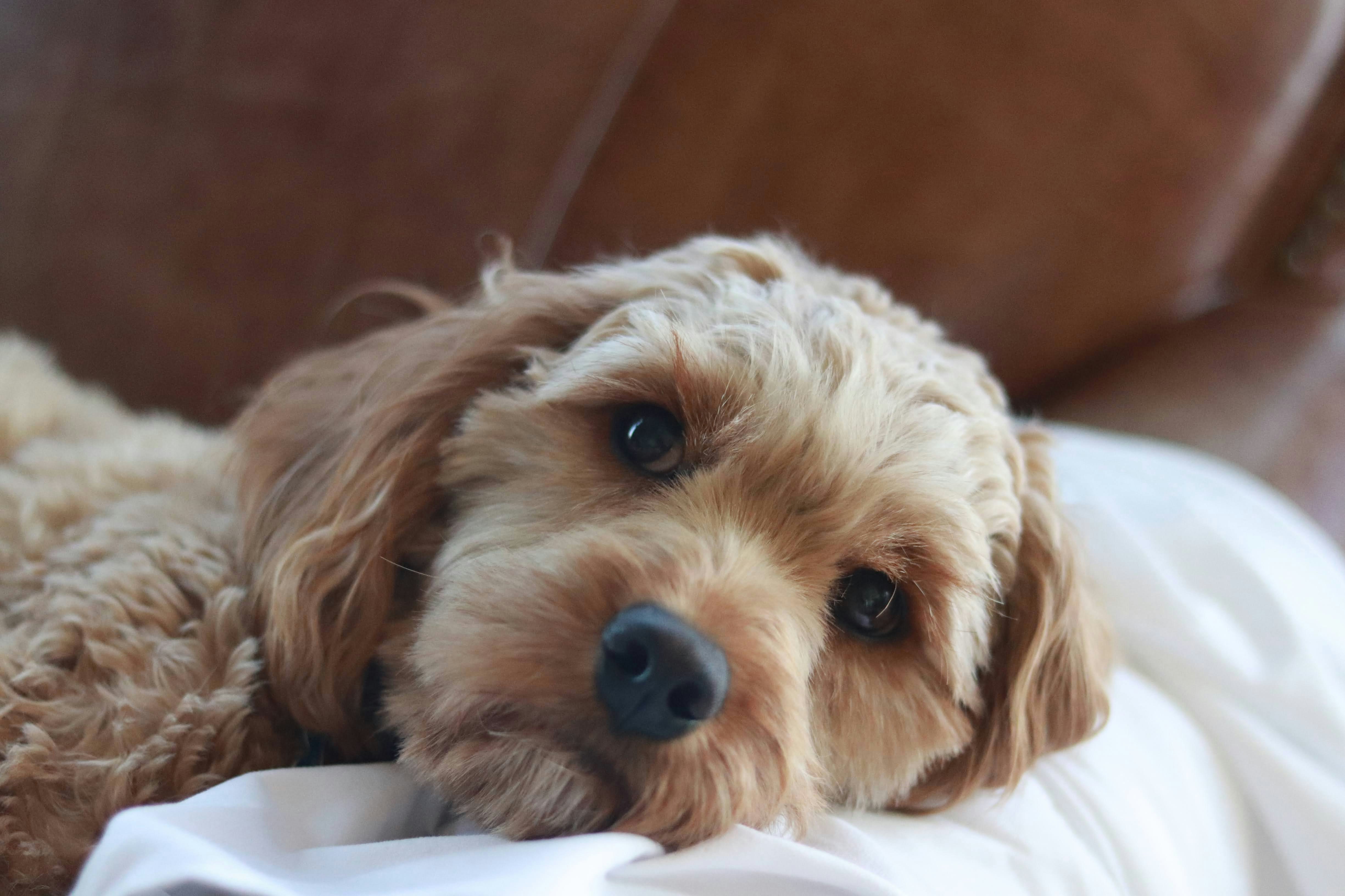 Photo by miaandersonphotography