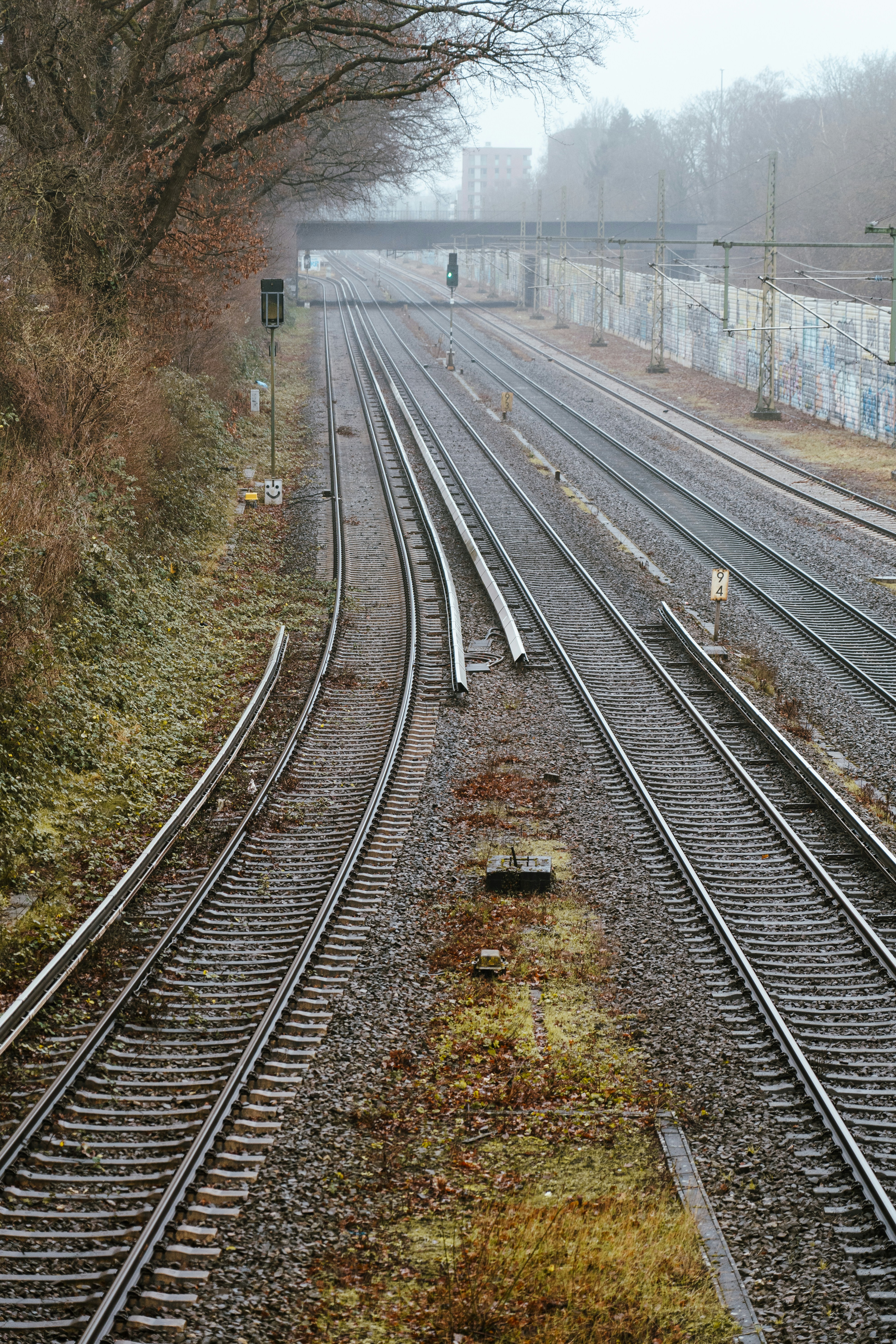 Photo by borisizmaylov