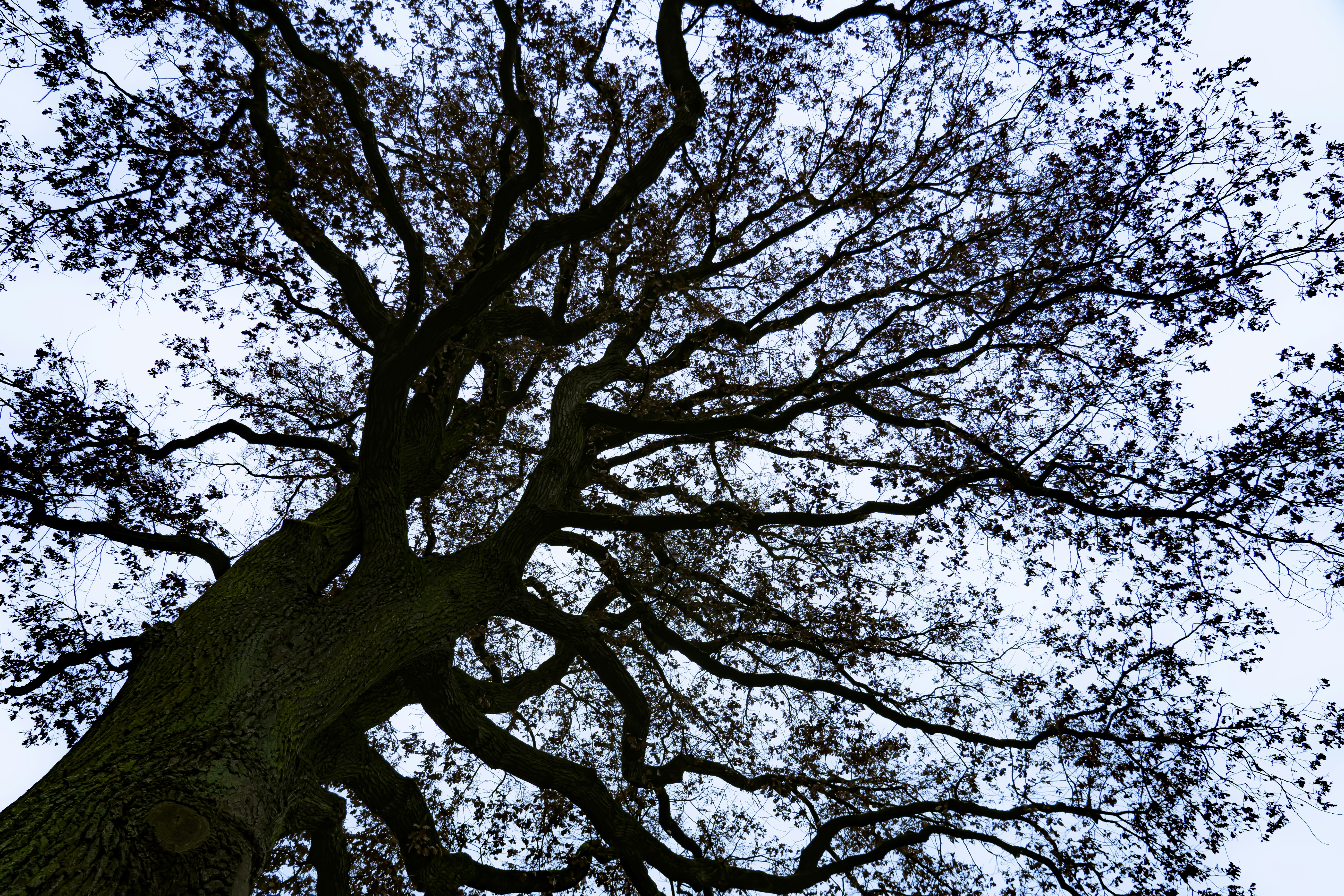 Photo by borisizmaylov