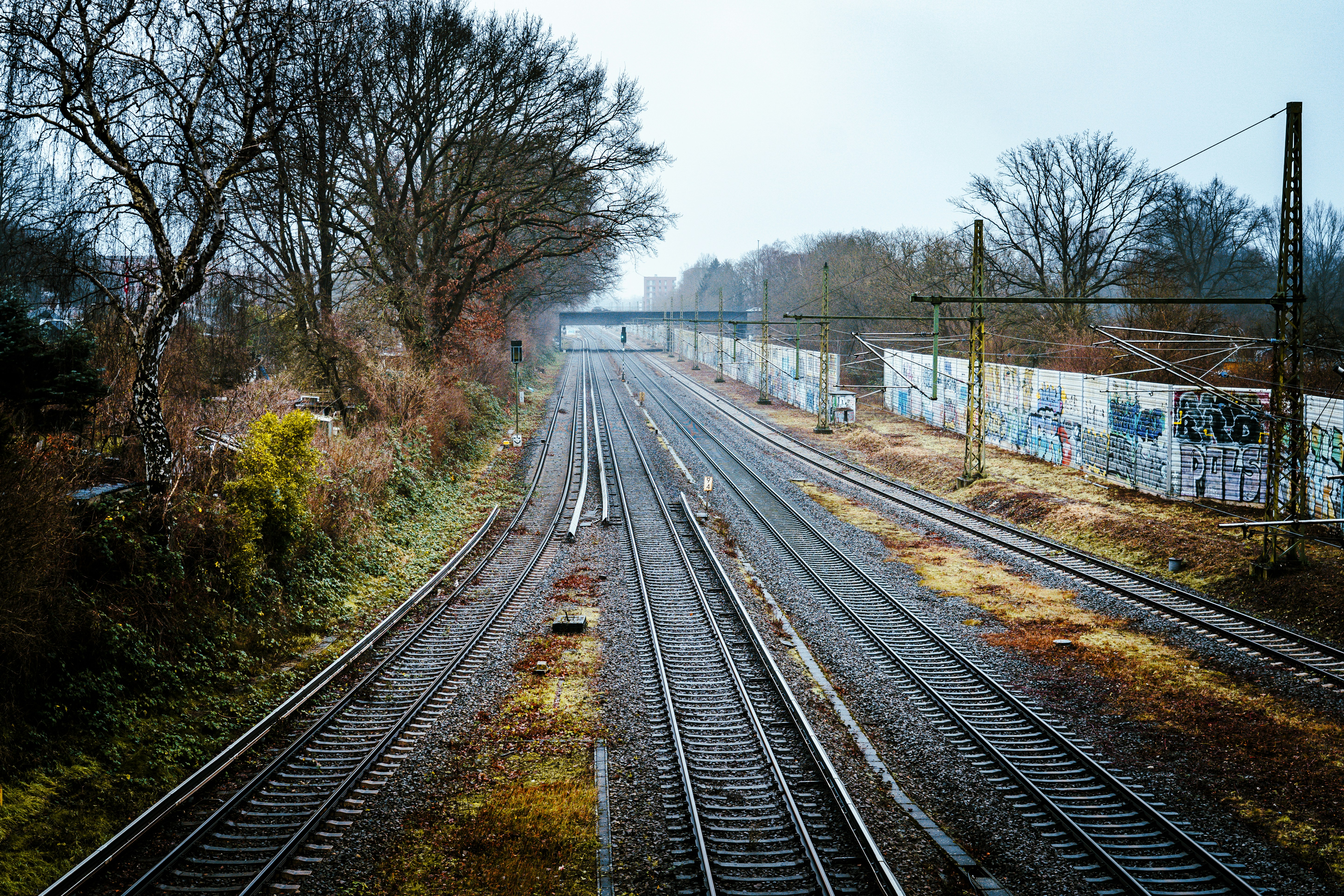 Photo by borisizmaylov