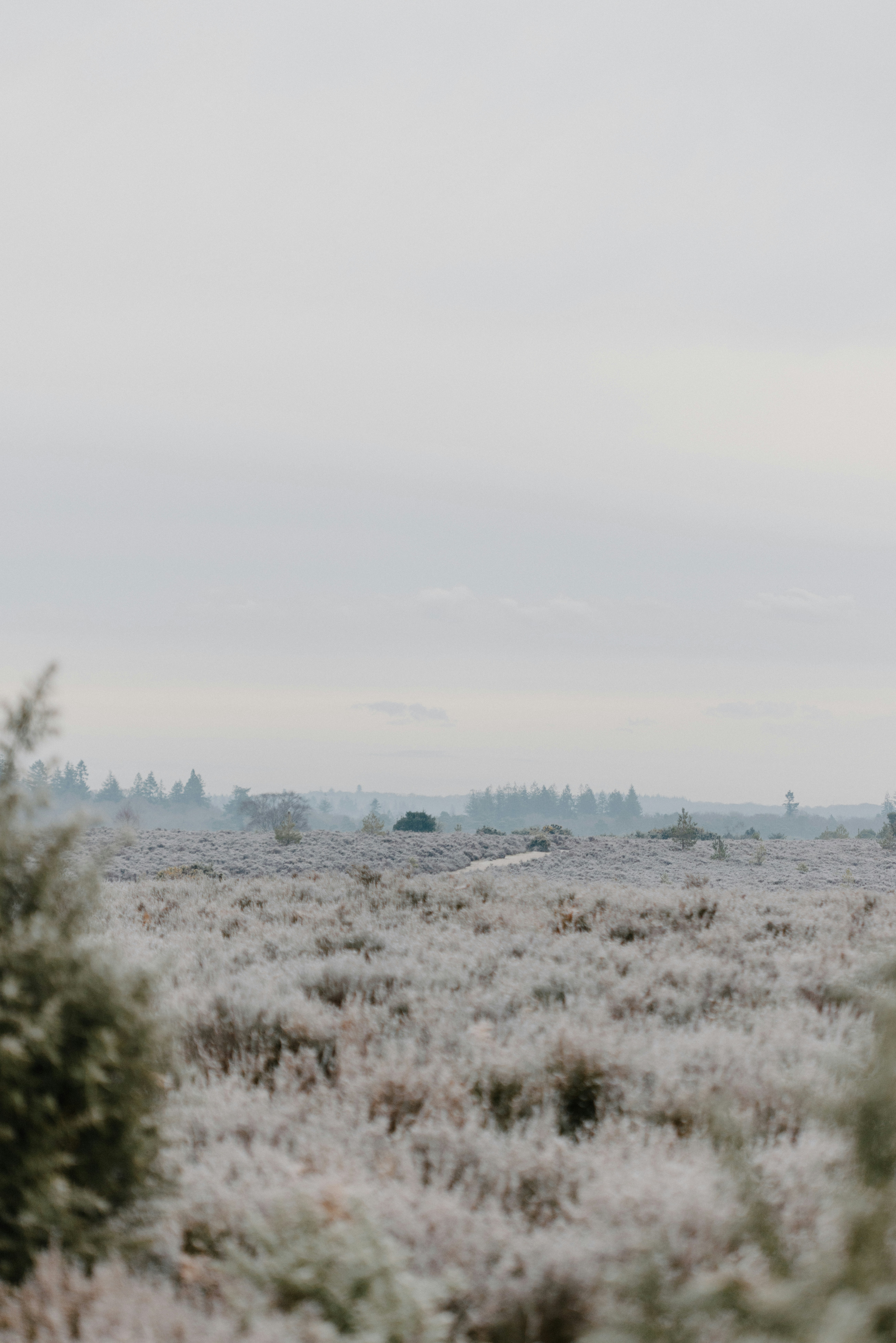 Photo by anniespratt