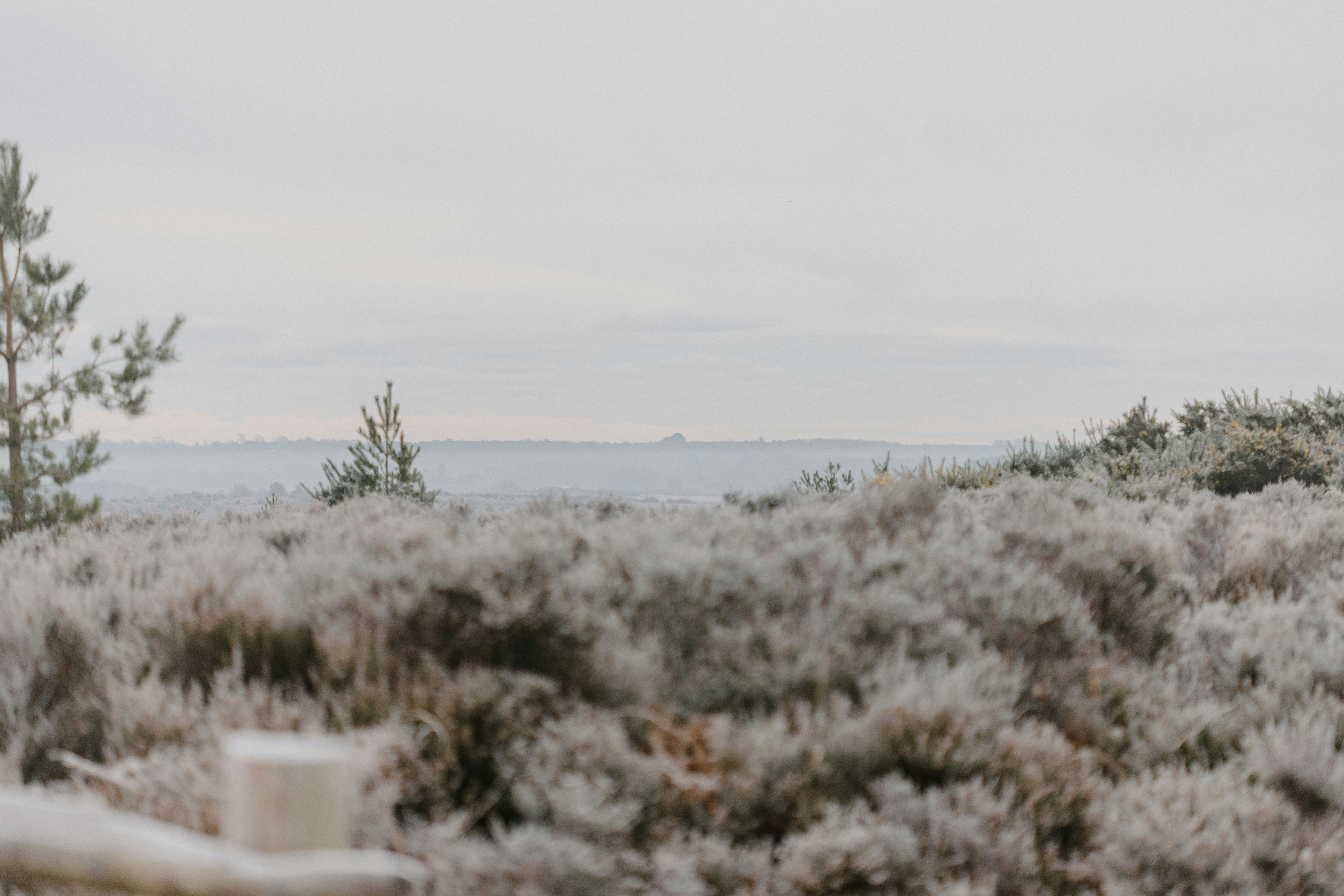 Photo by anniespratt