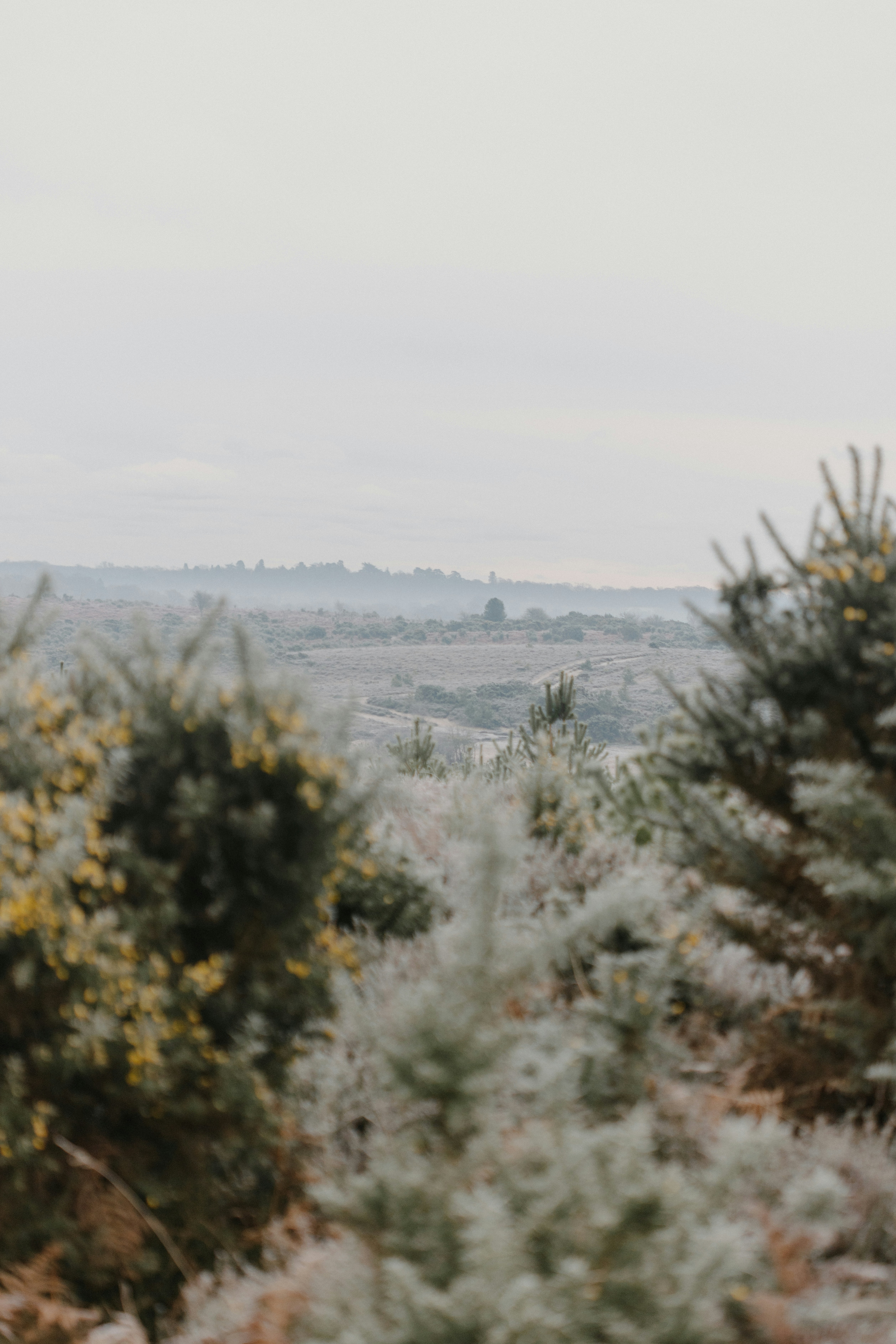 Photo by anniespratt