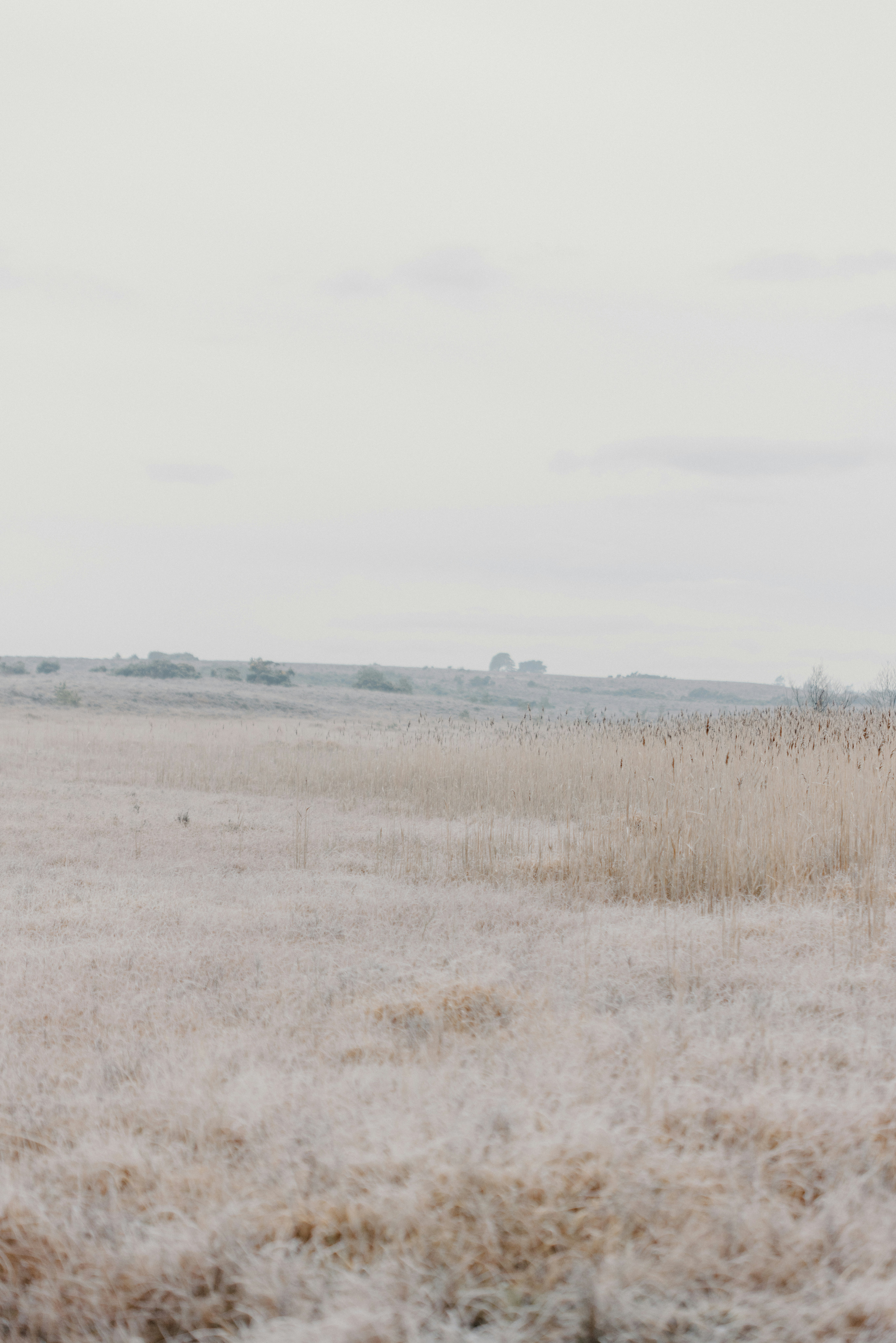 Photo by anniespratt