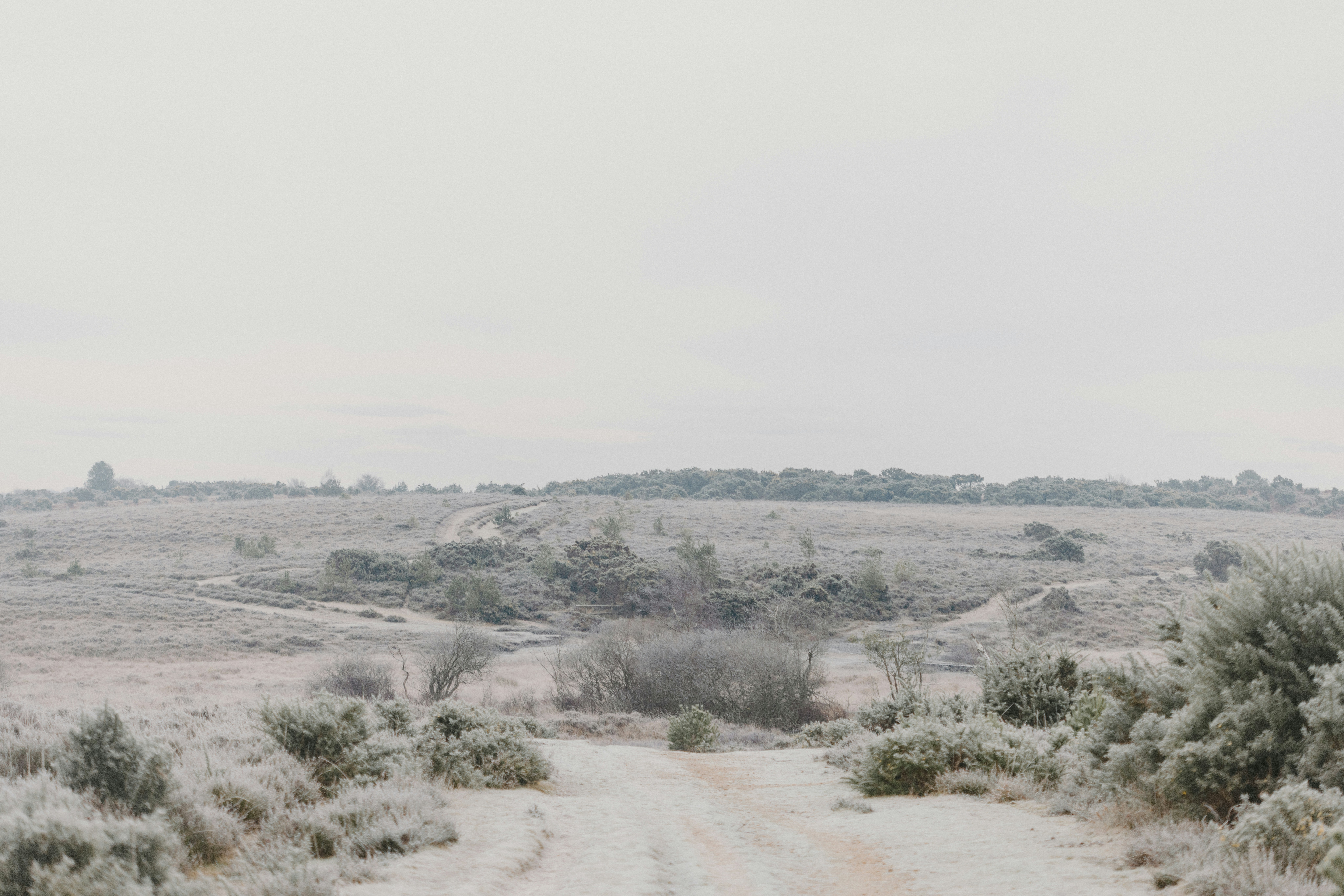 Photo by anniespratt