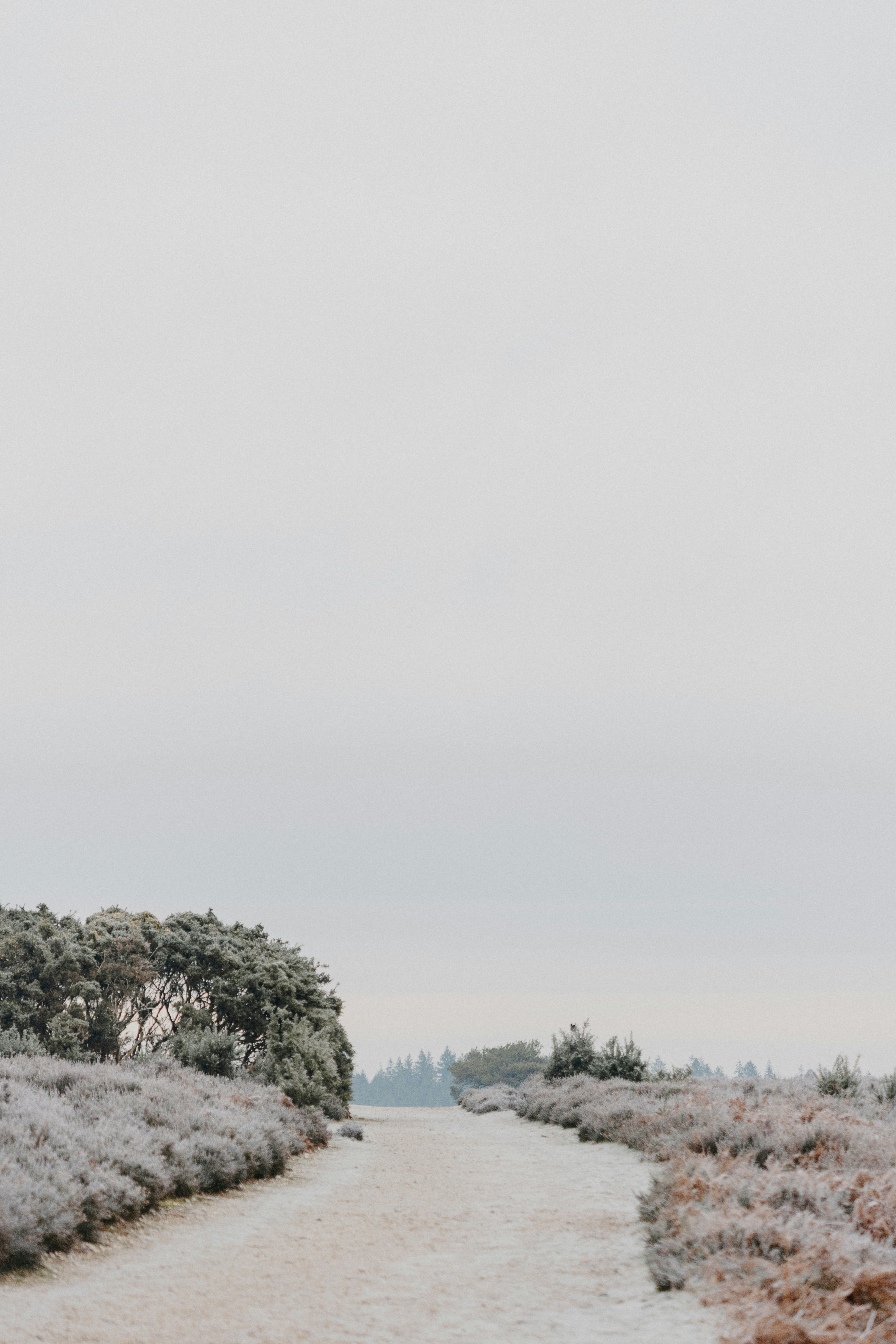 Photo by anniespratt