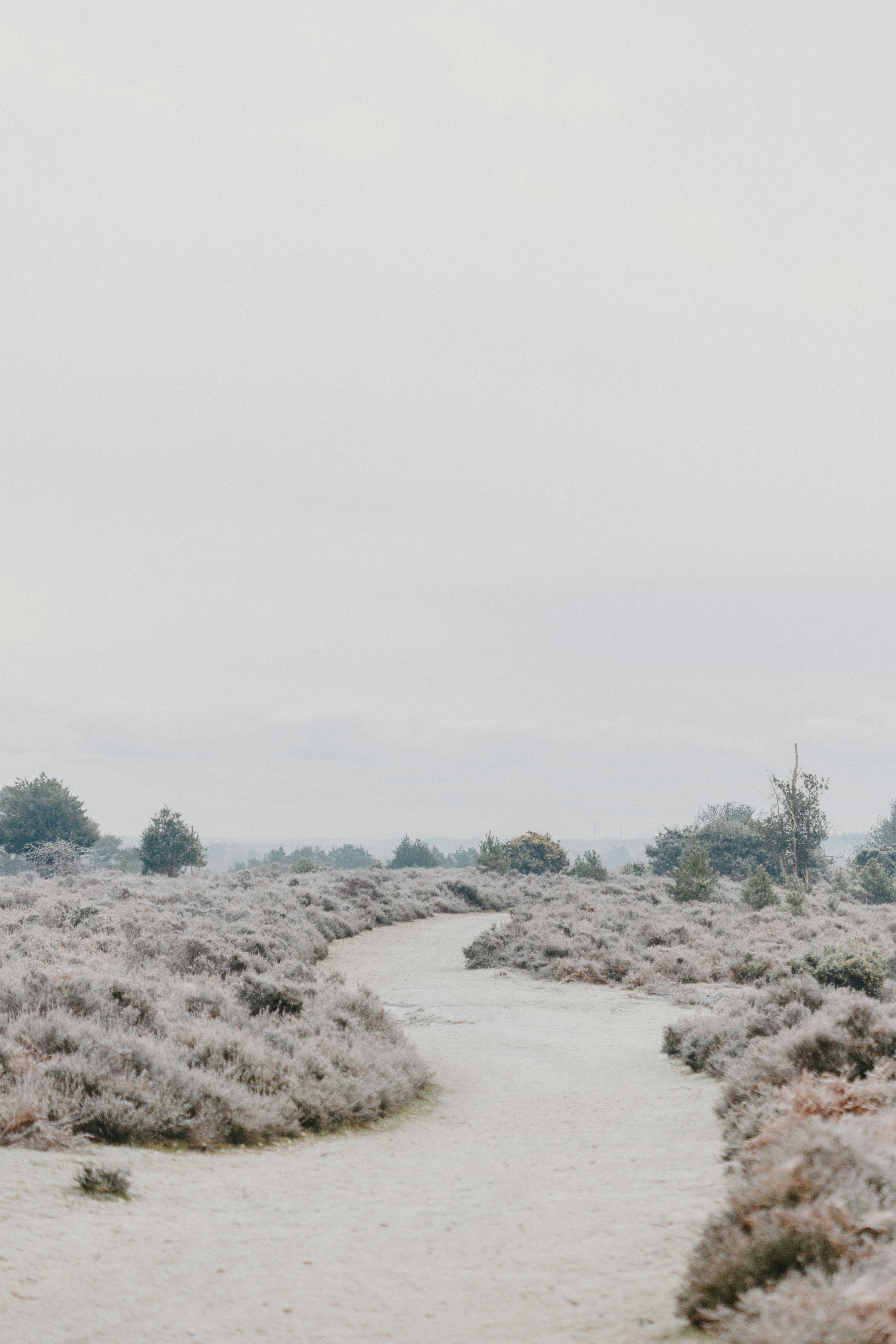 Photo by anniespratt